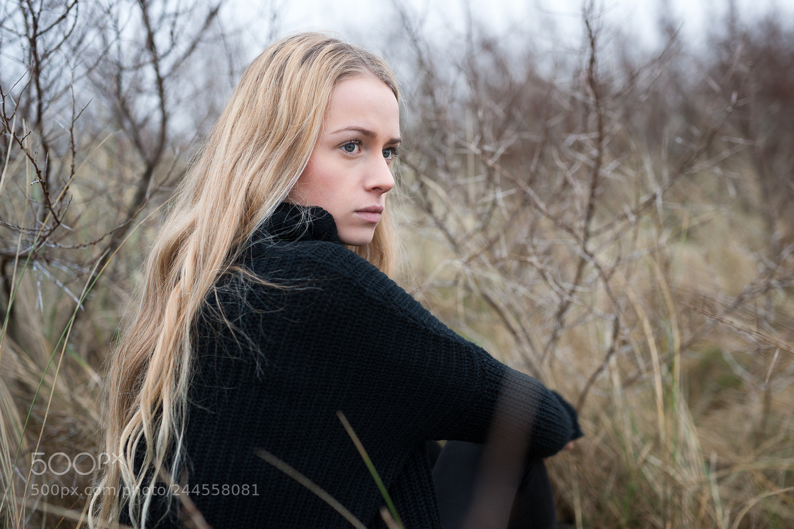 Sony Alpha DSLR-A900 sample photo. Strayed photography
