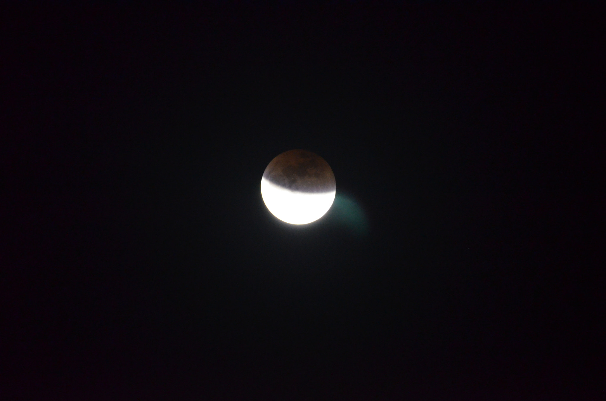 Nikon D5100 sample photo. Dsc photography