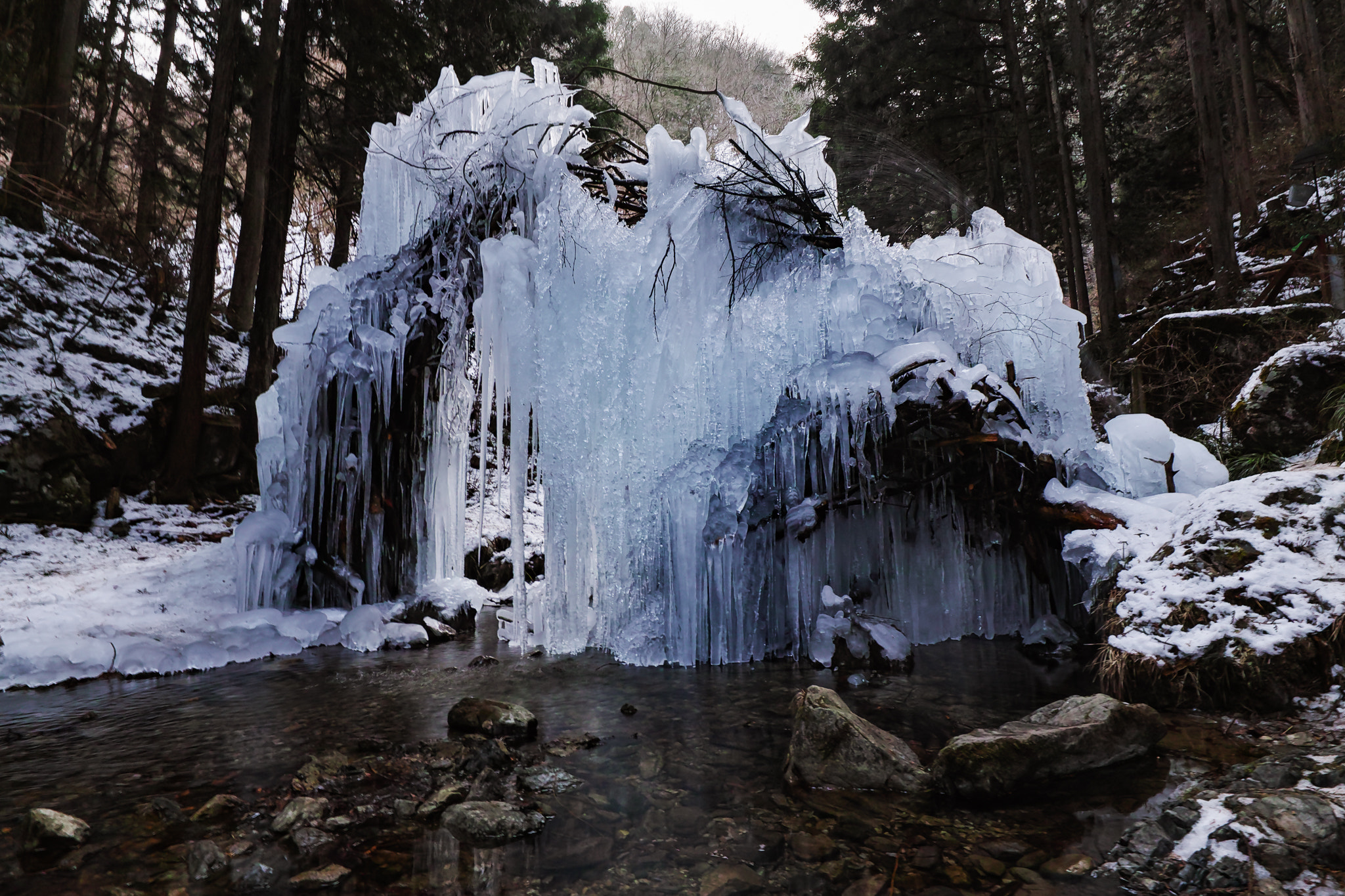 Sigma sd Quattro H sample photo. Ice objet~ tokyo,hinohara,japan~ photography