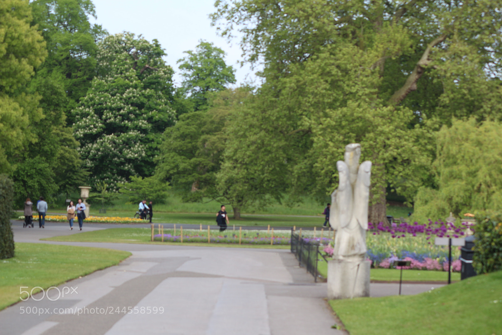 Canon EOS 650D (EOS Rebel T4i / EOS Kiss X6i) sample photo. Img photography