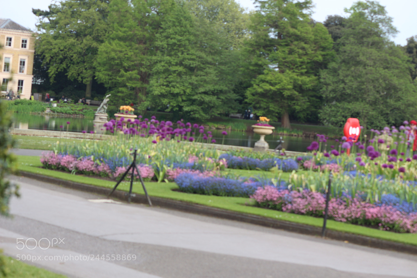 Canon EOS 650D (EOS Rebel T4i / EOS Kiss X6i) sample photo. Img photography
