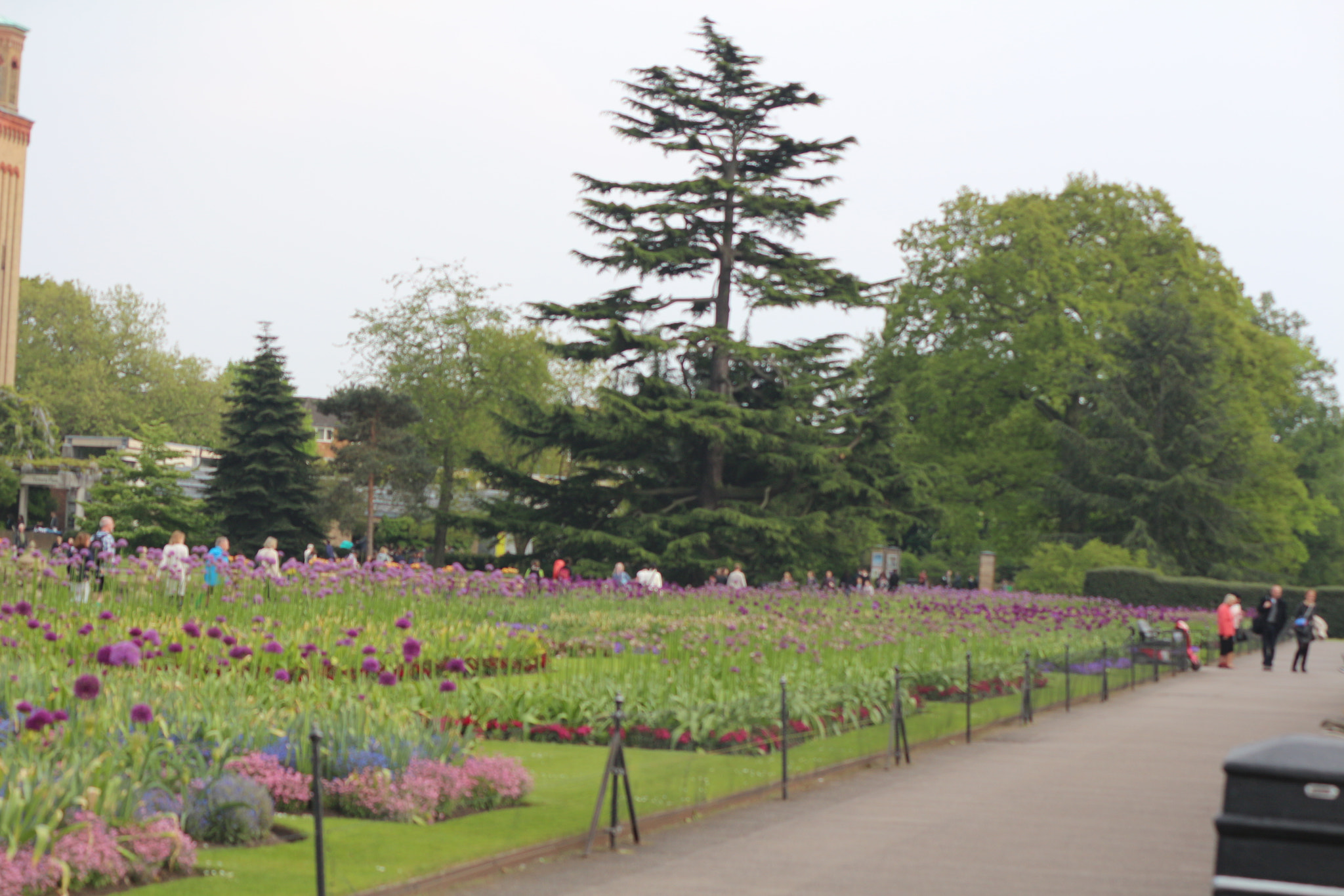 Canon EOS 650D (EOS Rebel T4i / EOS Kiss X6i) sample photo. Img photography
