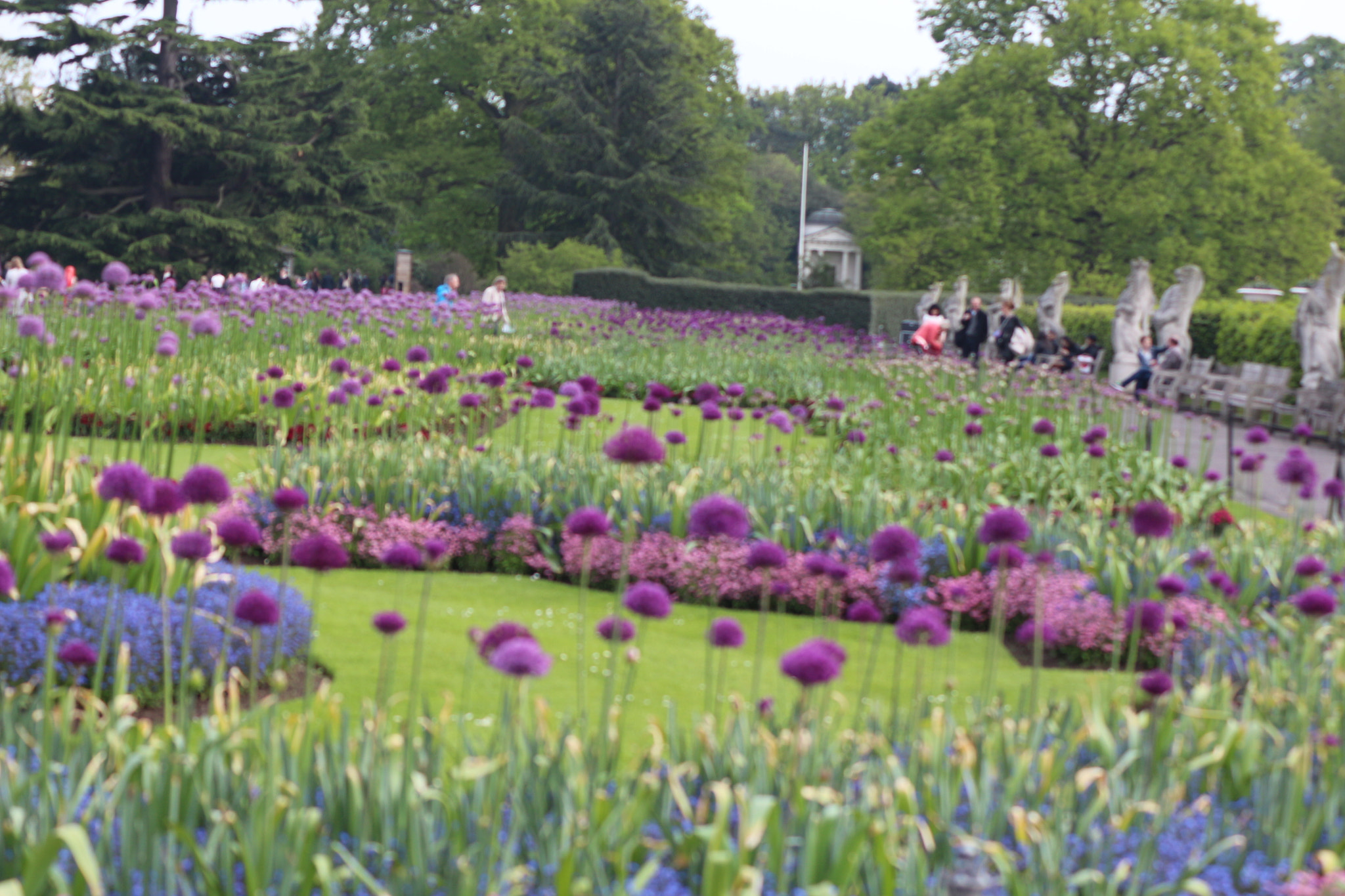 Canon EOS 650D (EOS Rebel T4i / EOS Kiss X6i) sample photo. Img photography