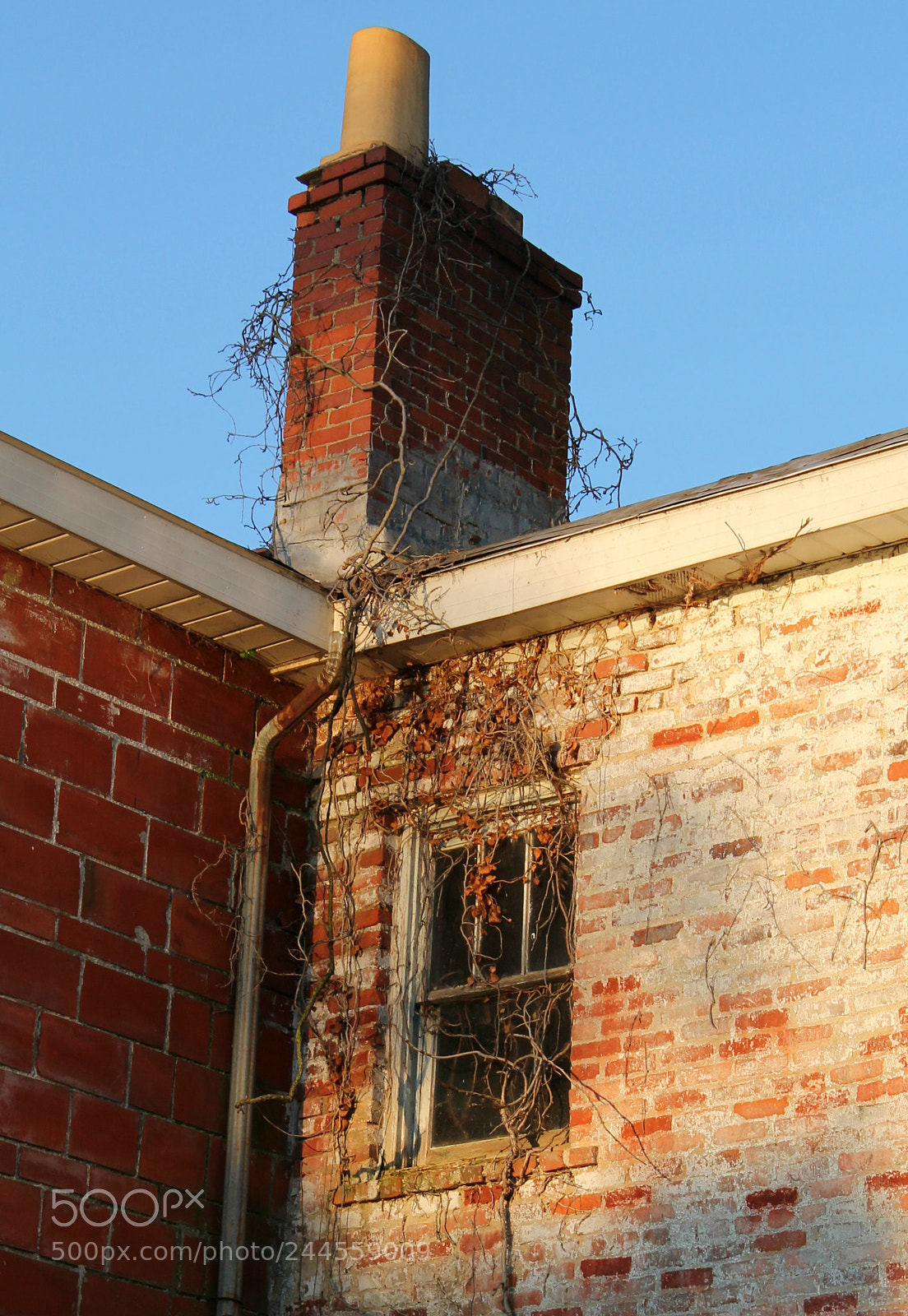 Canon EOS 1100D (EOS Rebel T3 / EOS Kiss X50) sample photo. Nature takes over photography
