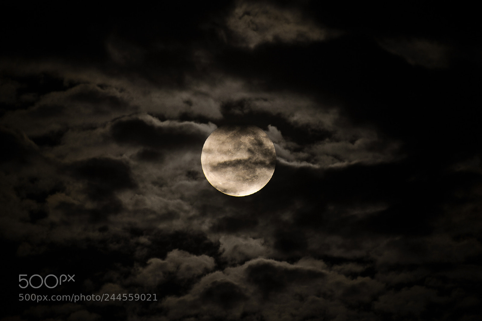 Nikon D700 sample photo. Super moon photography