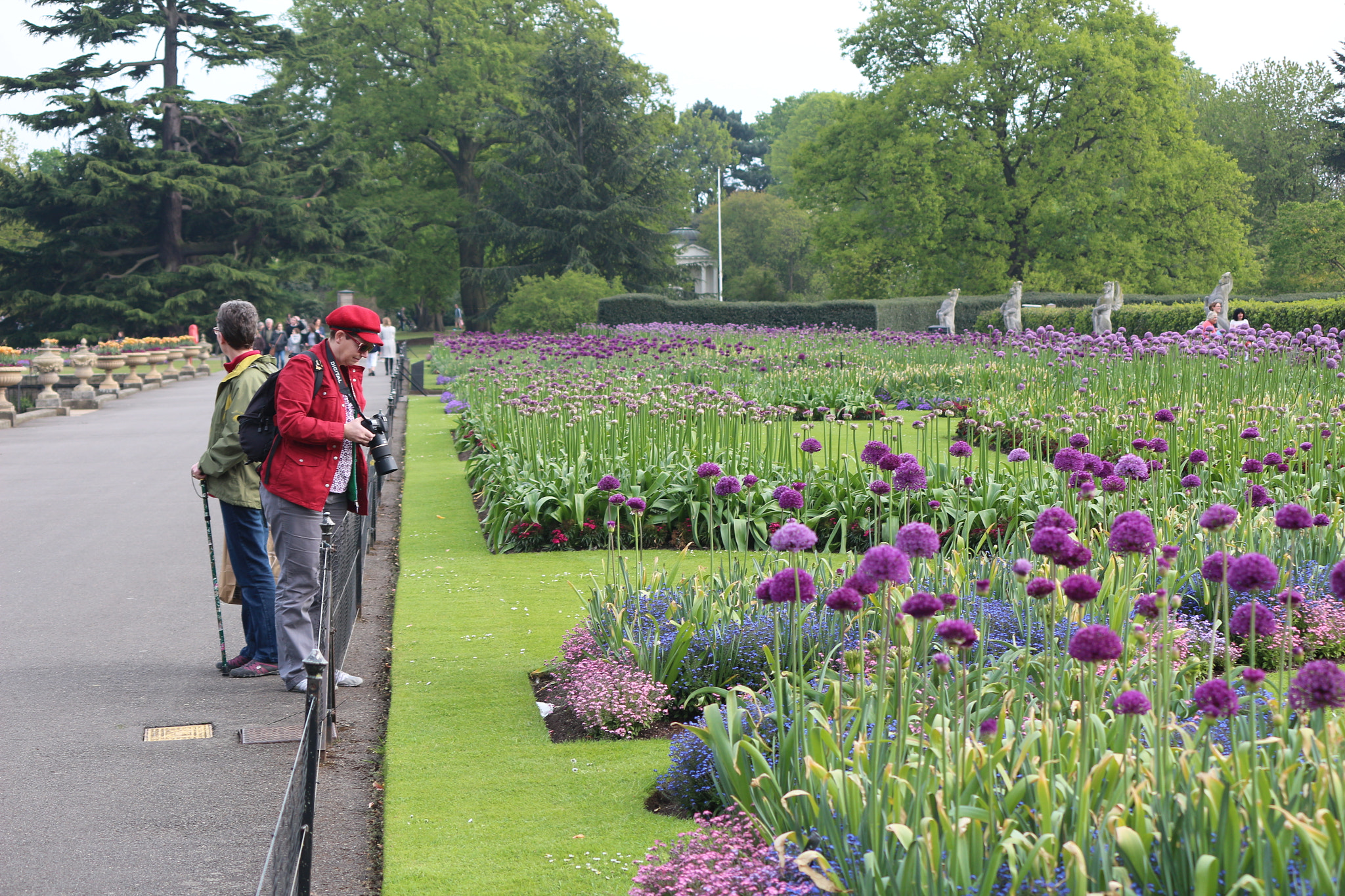Canon EOS 650D (EOS Rebel T4i / EOS Kiss X6i) sample photo. Img photography
