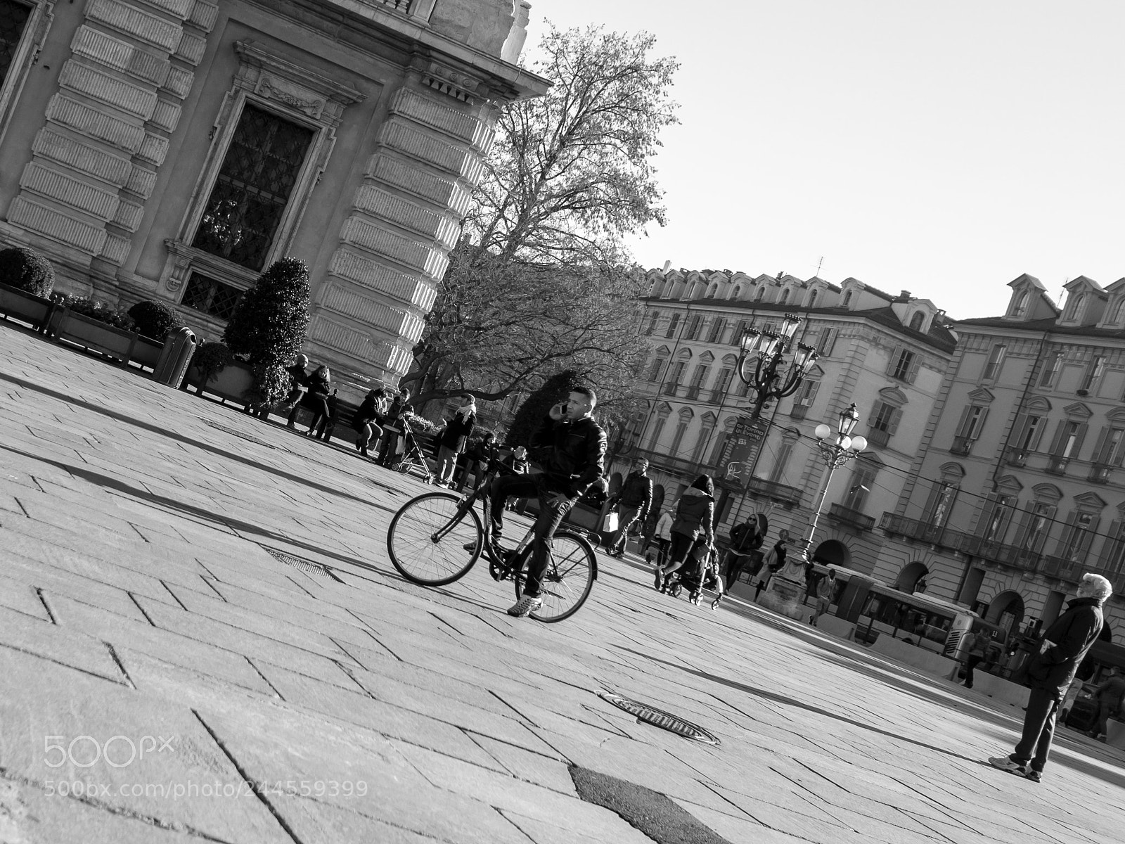 Olympus OM-D E-M1 Mark II sample photo. Untitled photography
