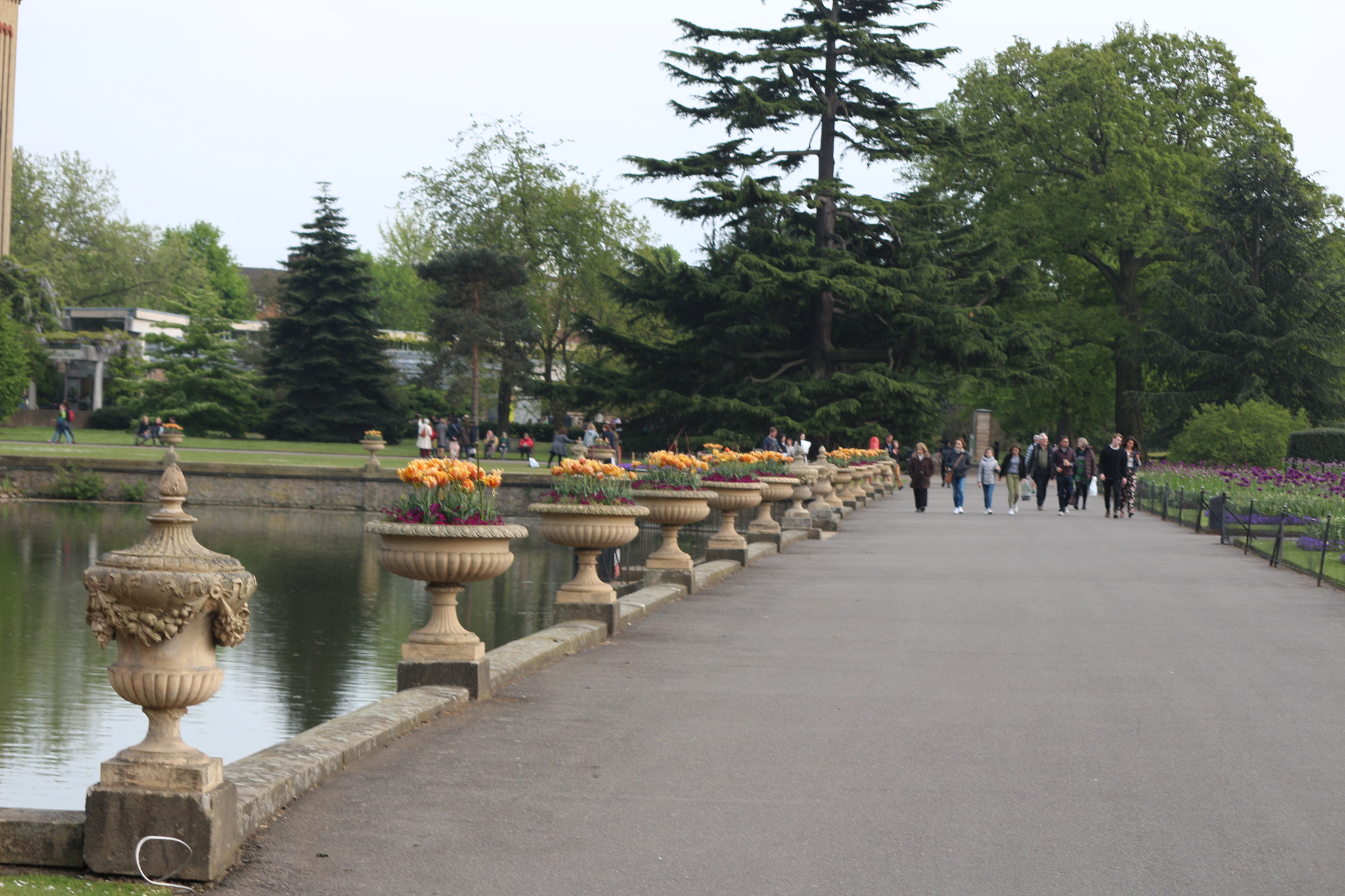 Canon EOS 650D (EOS Rebel T4i / EOS Kiss X6i) sample photo. Img photography