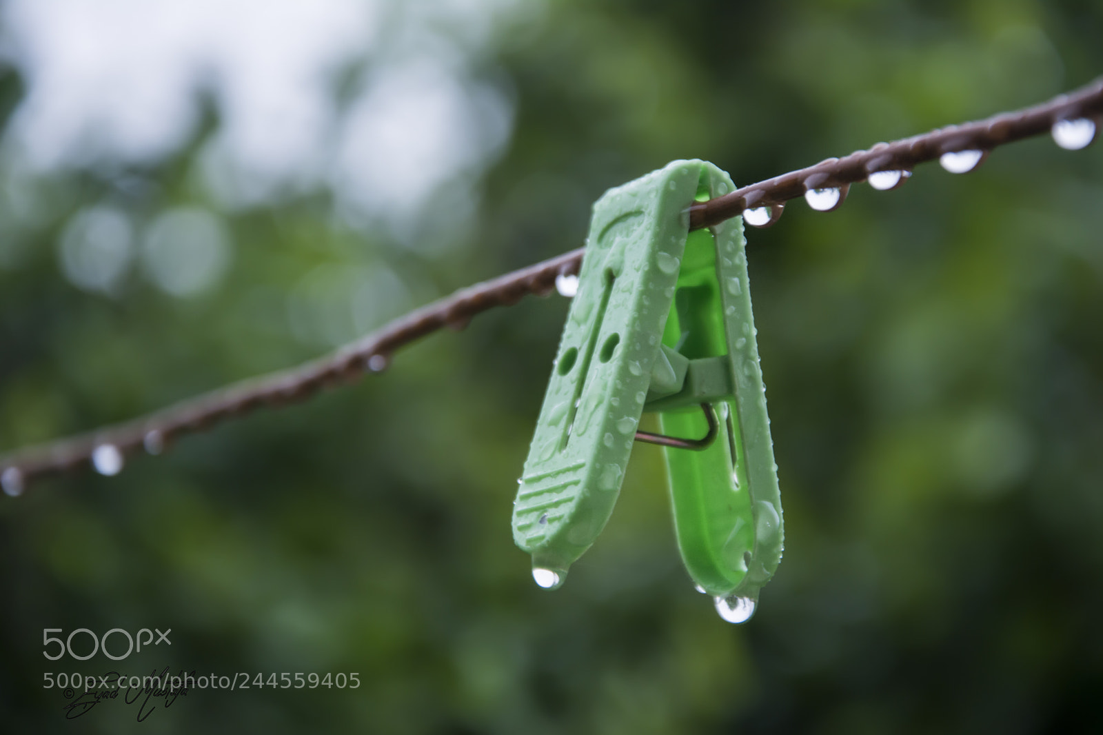 Nikon D7100 sample photo. Wash tweezers photography