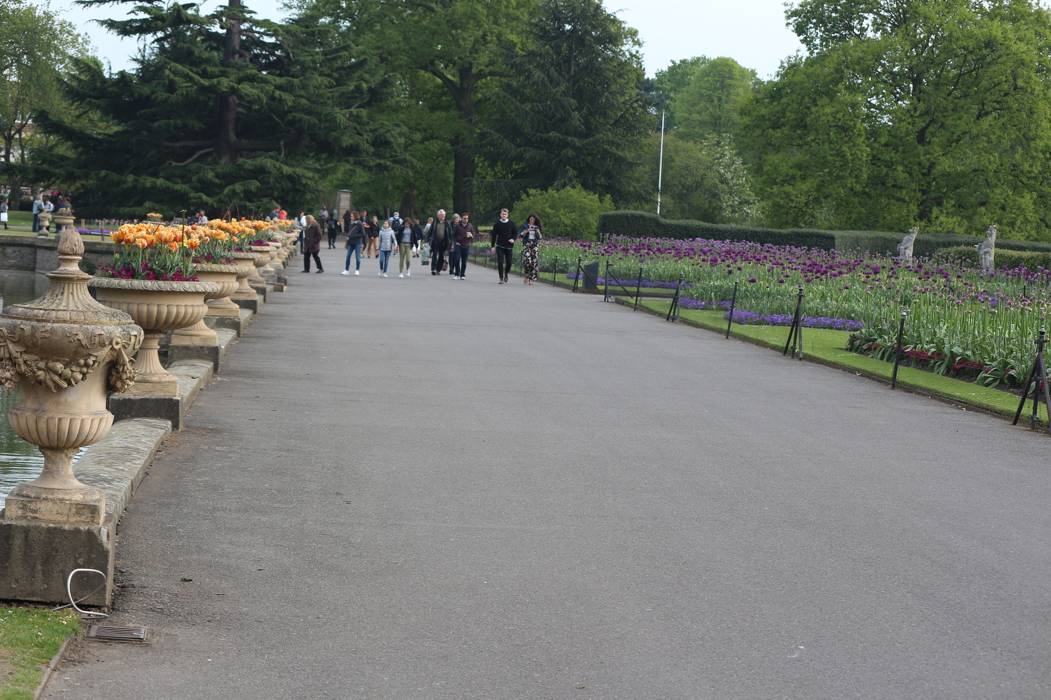 Canon EOS 650D (EOS Rebel T4i / EOS Kiss X6i) sample photo. Img photography