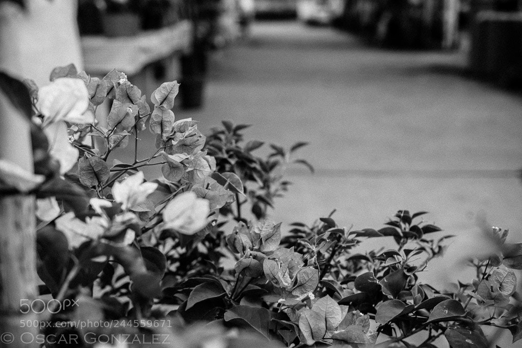 Nikon D3400 sample photo. ¡vacío! photography
