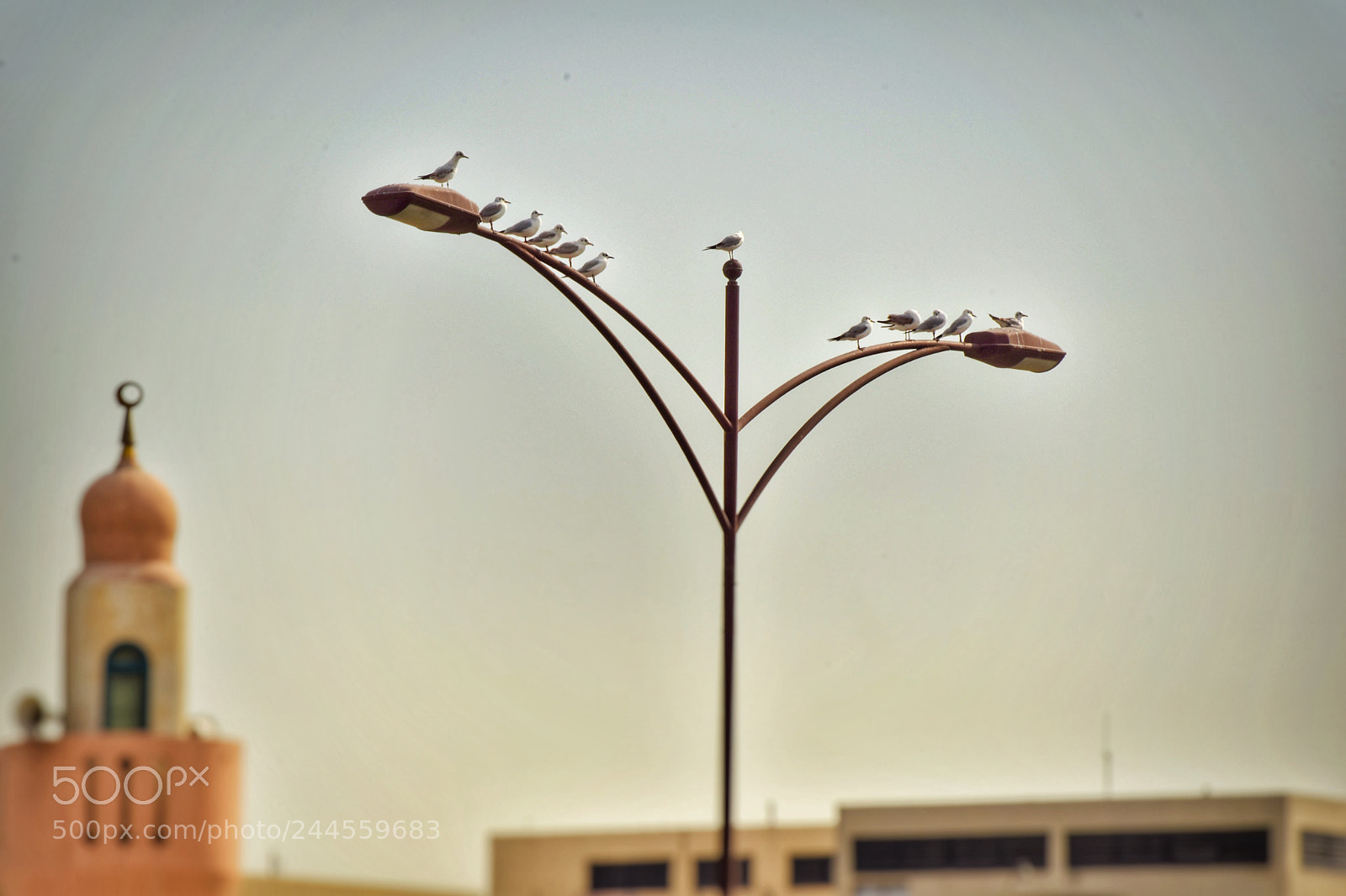 Nikon D5500 sample photo. Untitled photography