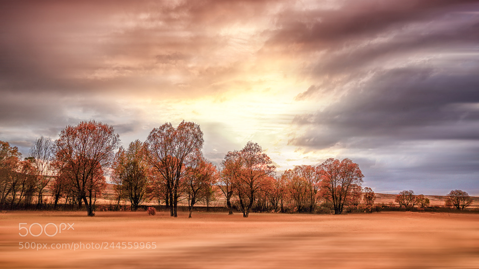 Sony a7 II sample photo. An ordinary winter scene photography