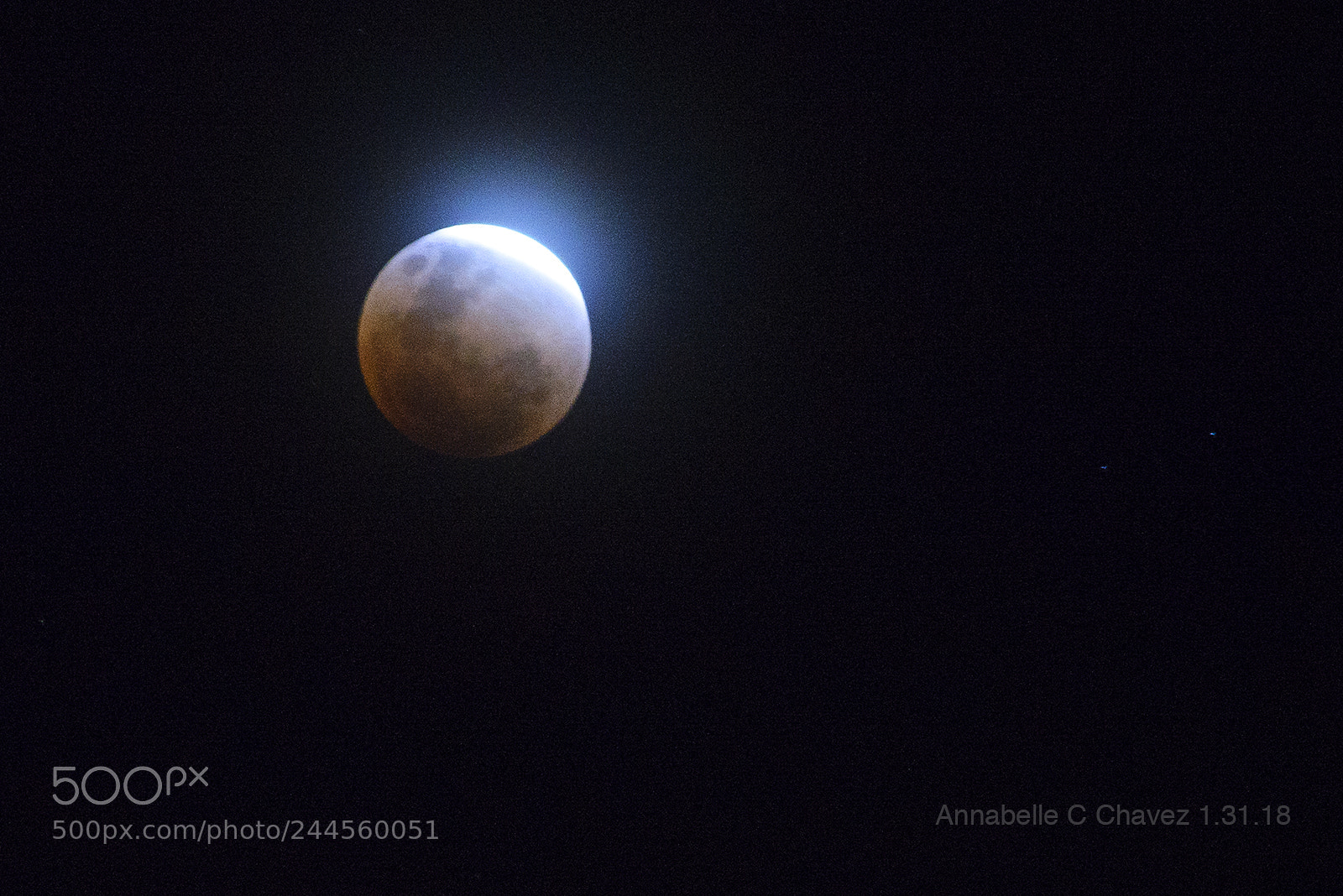 Nikon D610 sample photo. Blue blood moon photography