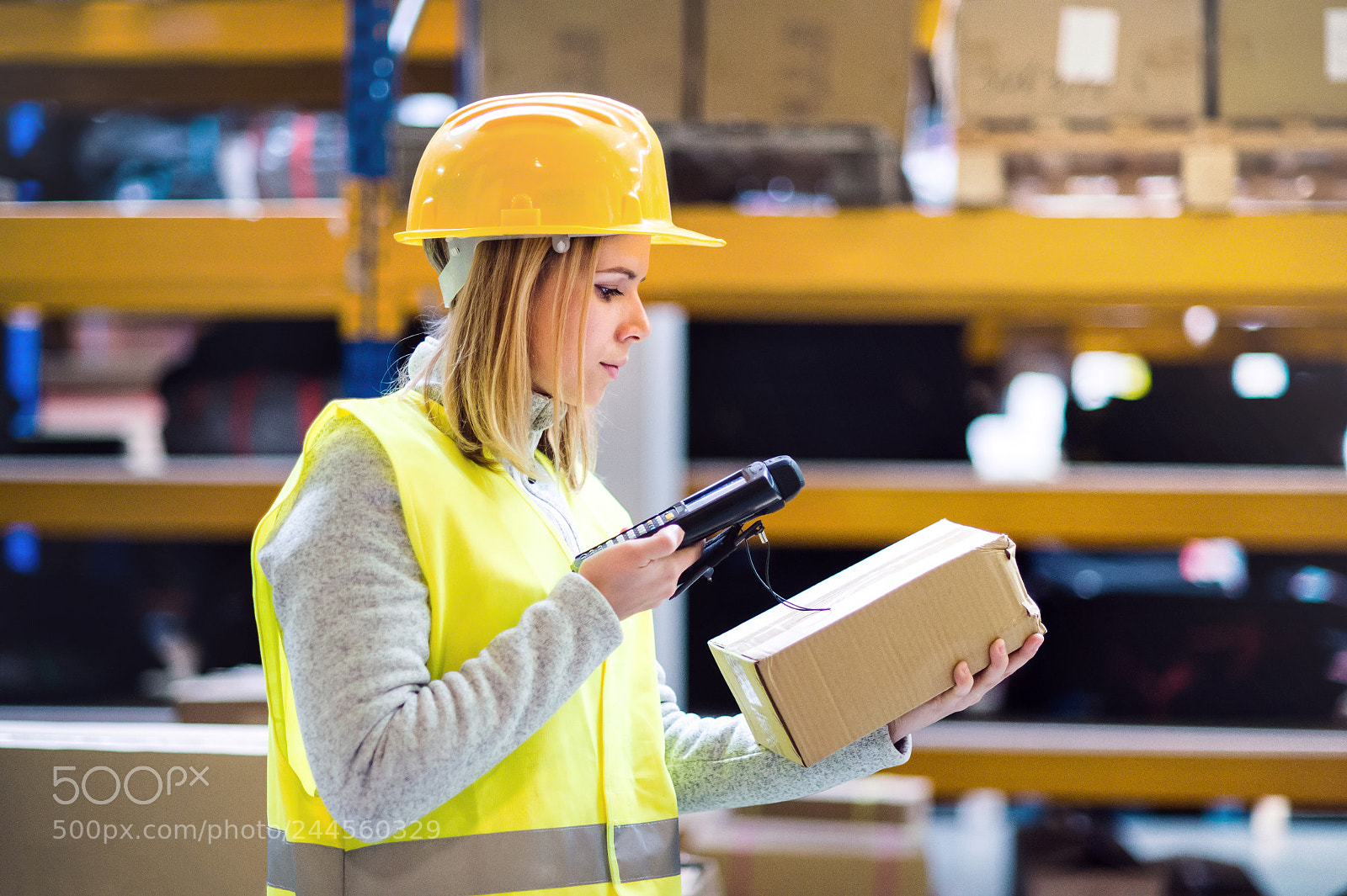 Nikon D4S sample photo. Warehouse woman worker with photography