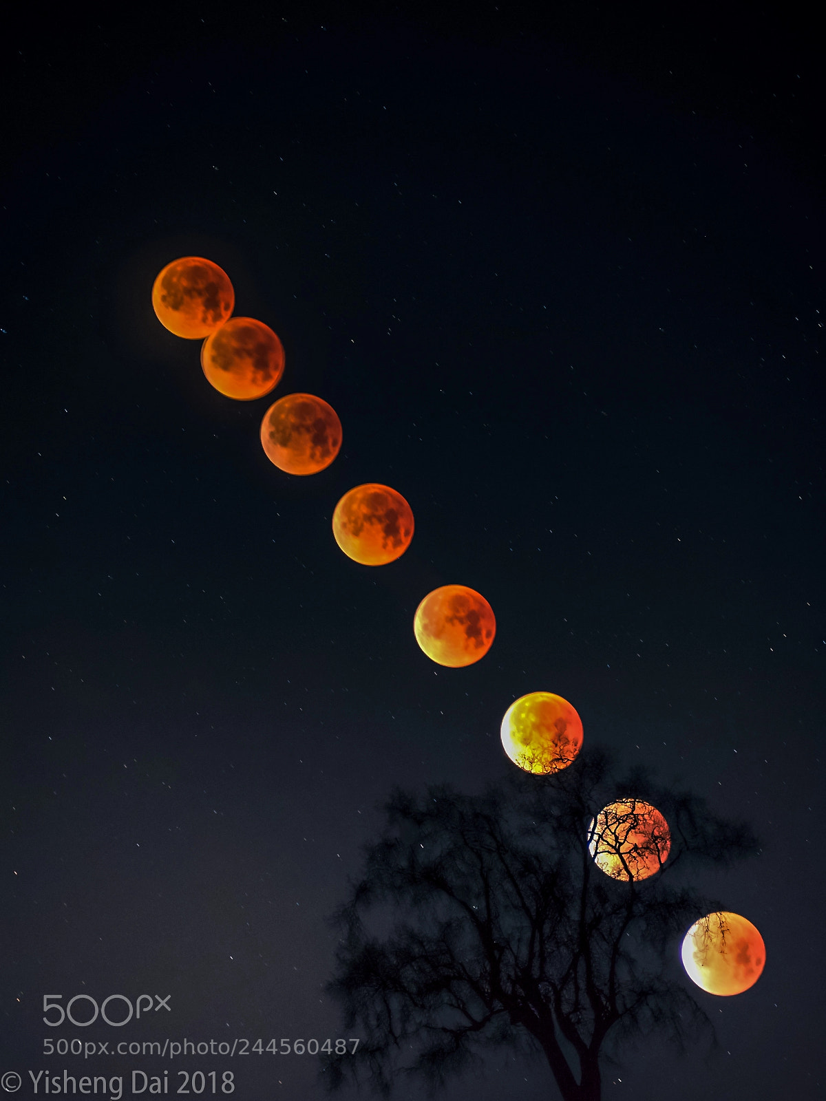 Olympus OM-D E-M1 sample photo. Blood moon stacking photography
