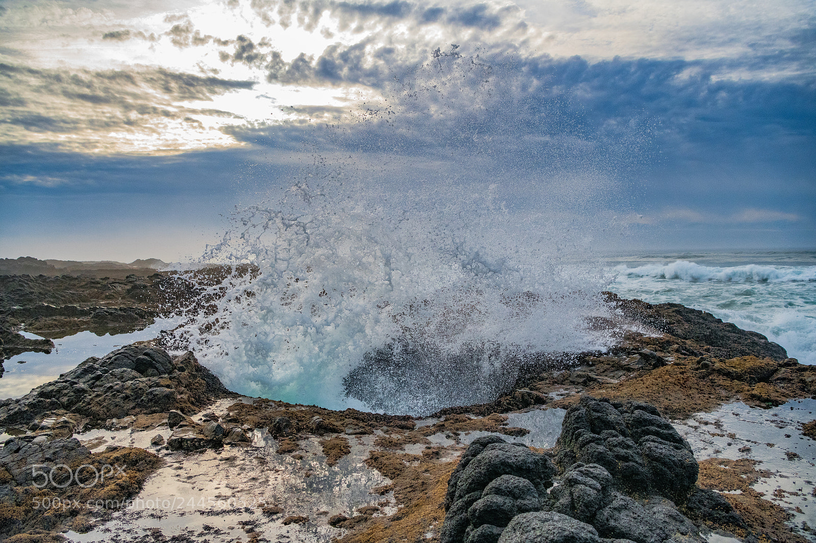 Nikon D850 sample photo. Thor's well, yachats, or photography
