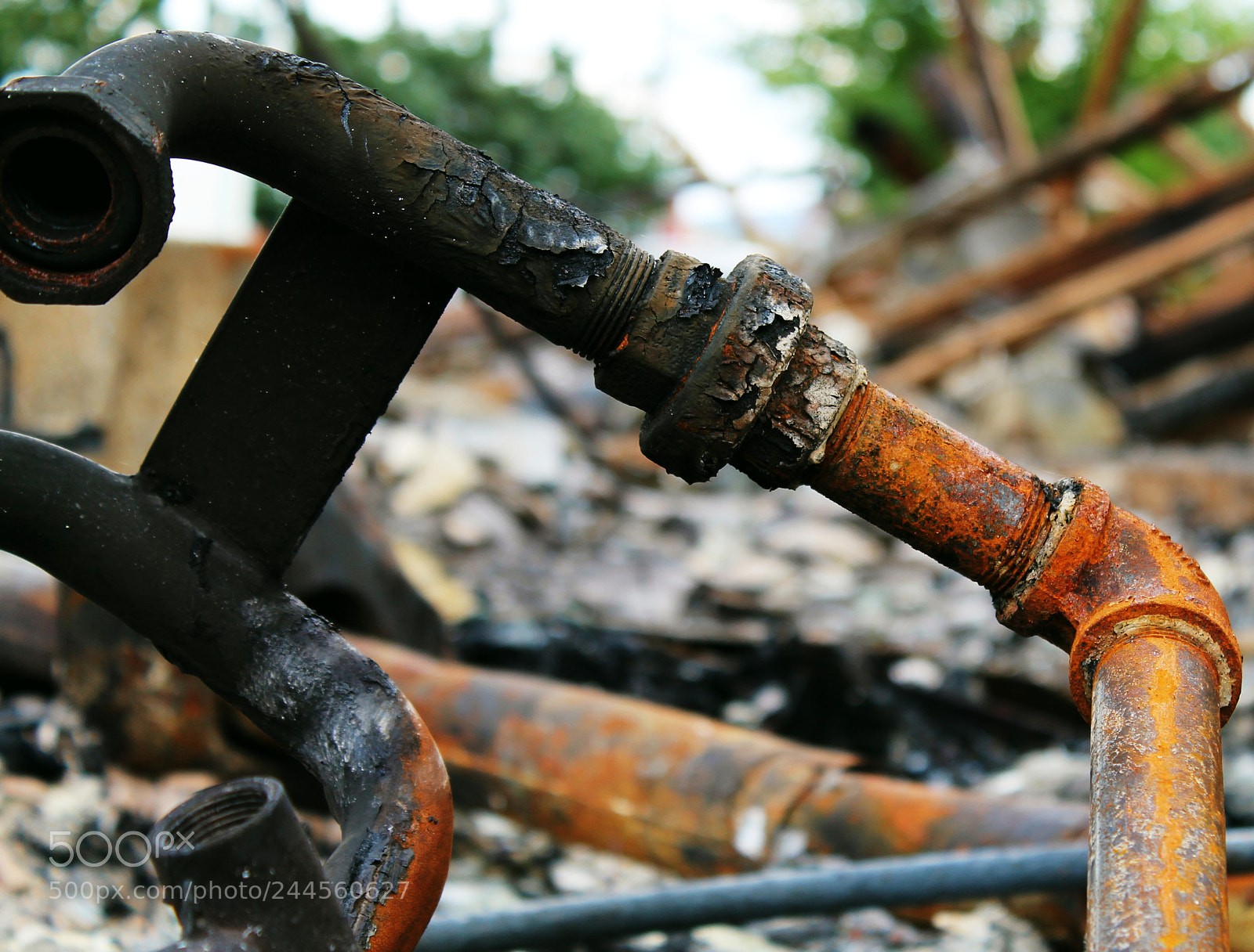 Canon EOS 1100D (EOS Rebel T3 / EOS Kiss X50) sample photo. After the fire photography