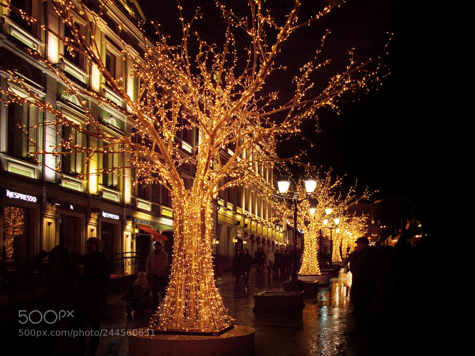 Canon EOS 500D (EOS Rebel T1i / EOS Kiss X3) sample photo. Night avenues photography