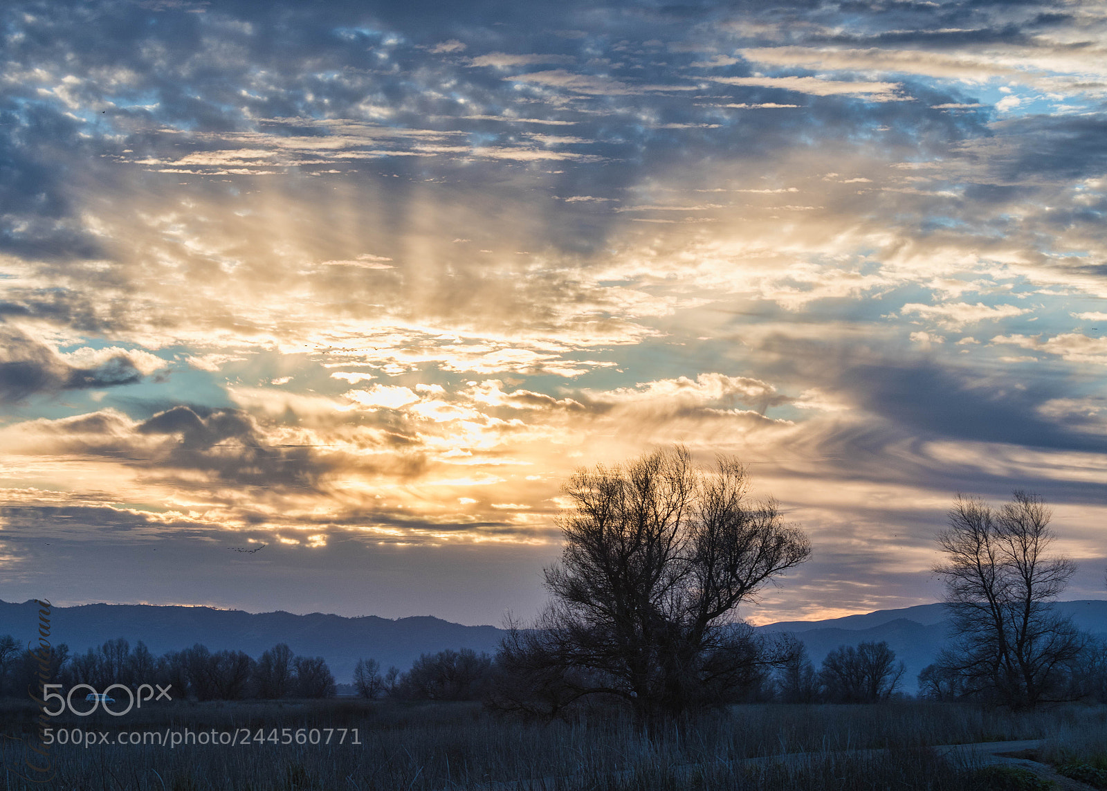 Nikon D500 sample photo. Sunset with god rays photography