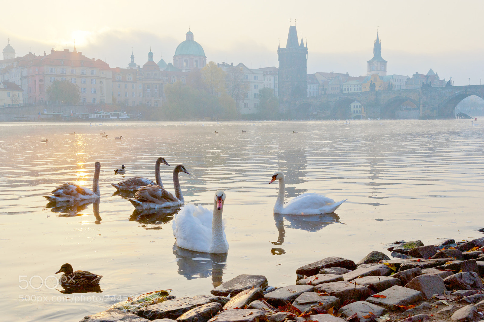 Canon EOS-1Ds Mark II sample photo. Vltava river embankment in photography