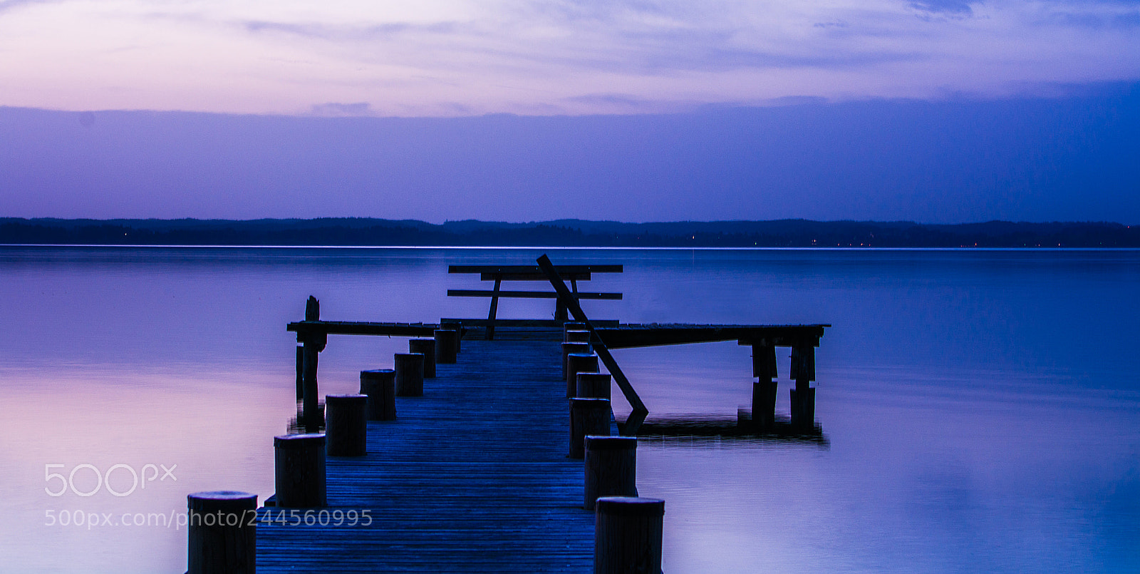 Nikon D7100 sample photo. The purple silence photography