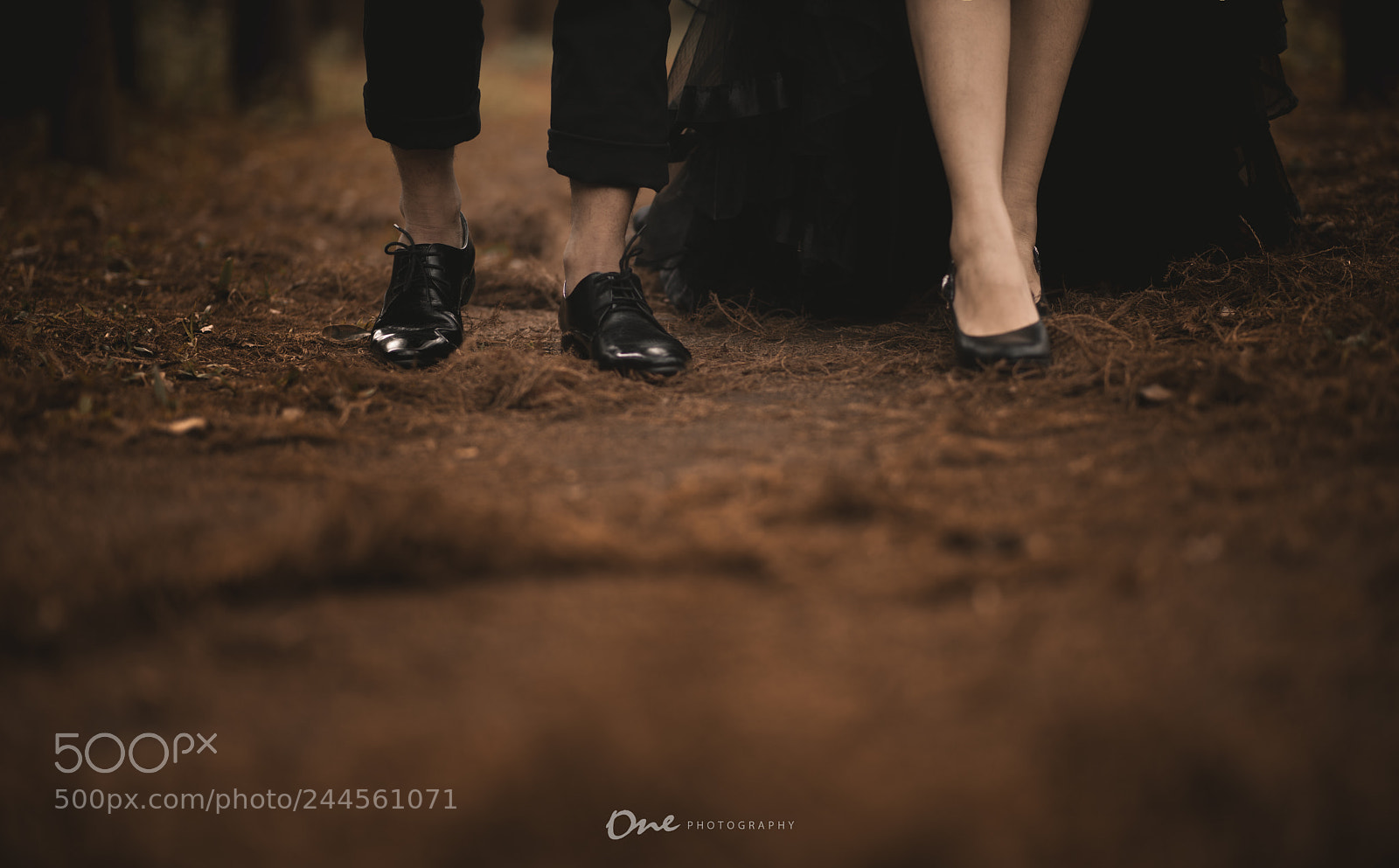 Nikon D810 sample photo. One photography