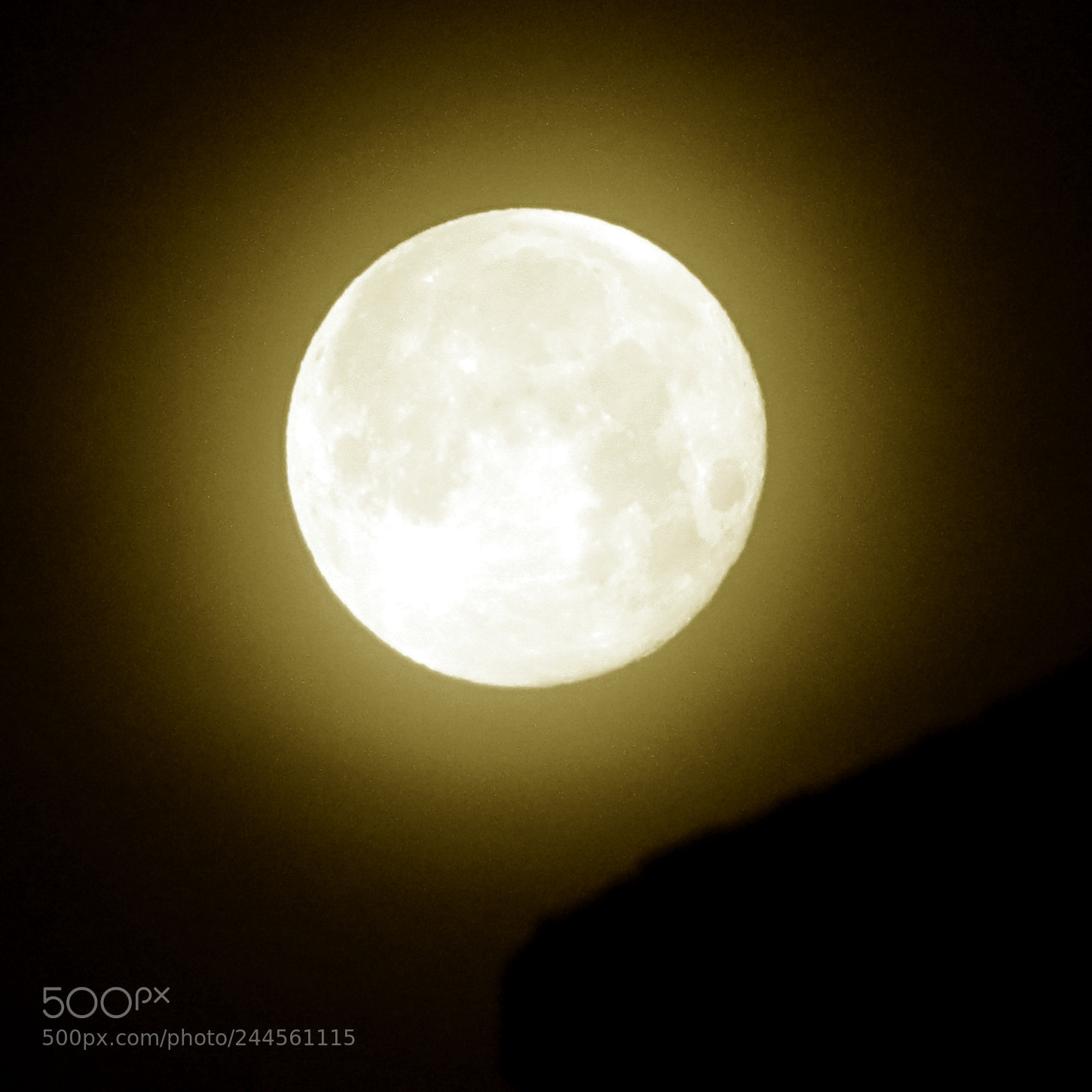 Canon PowerShot SX510 HS sample photo. Sepia supermoon photography