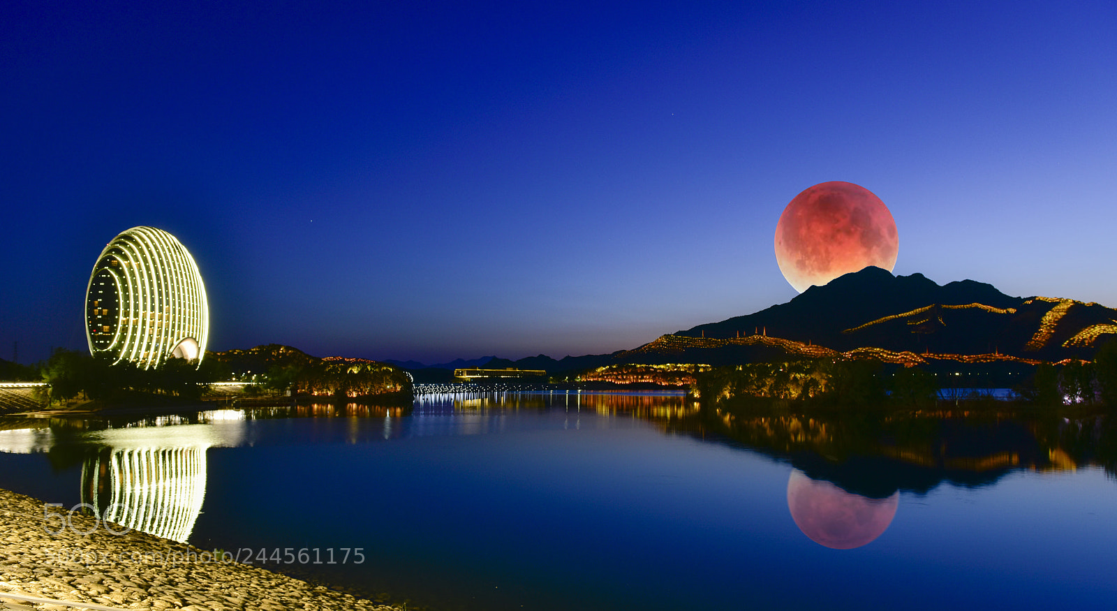 Nikon D810 sample photo. Moon photography