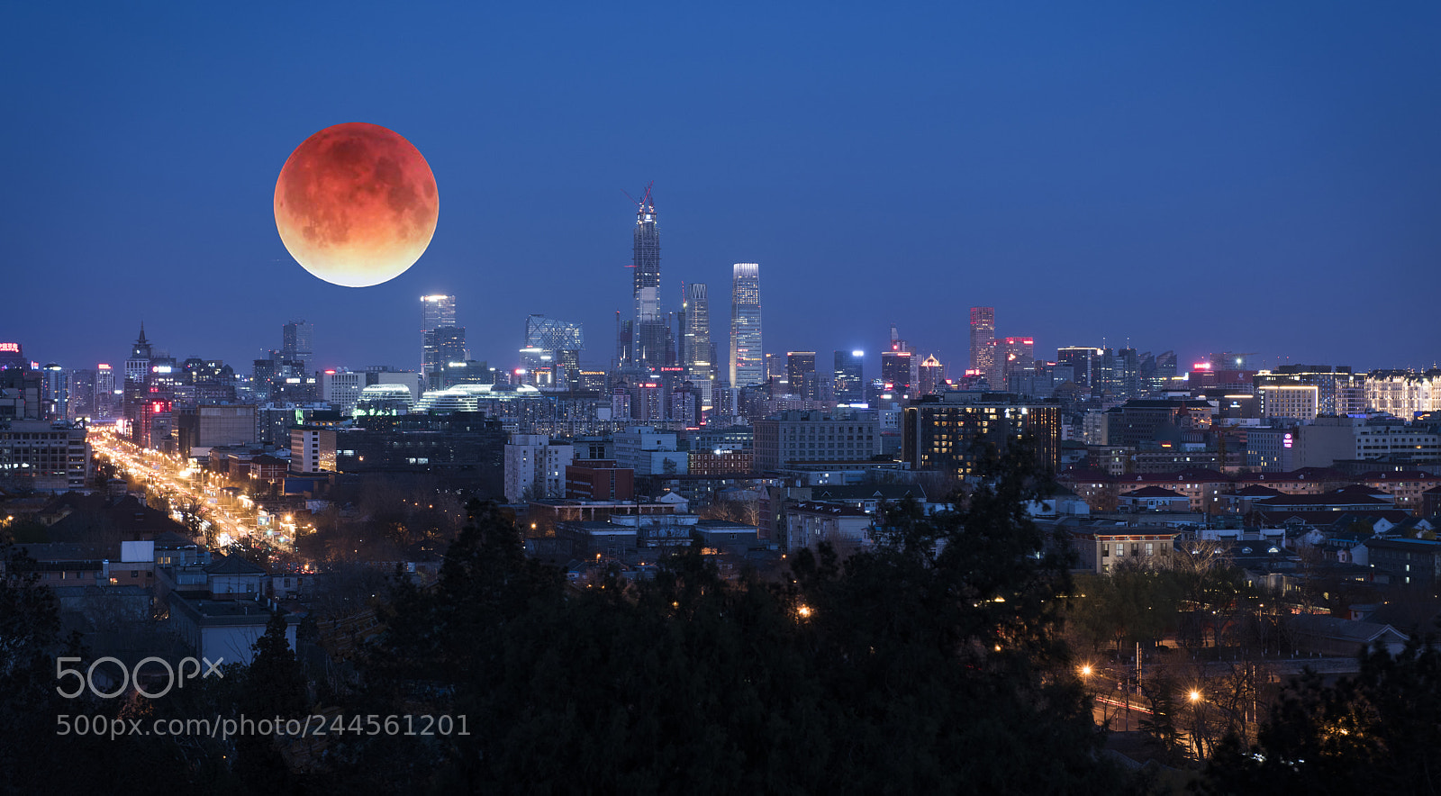 Nikon D810 sample photo. Moon photography