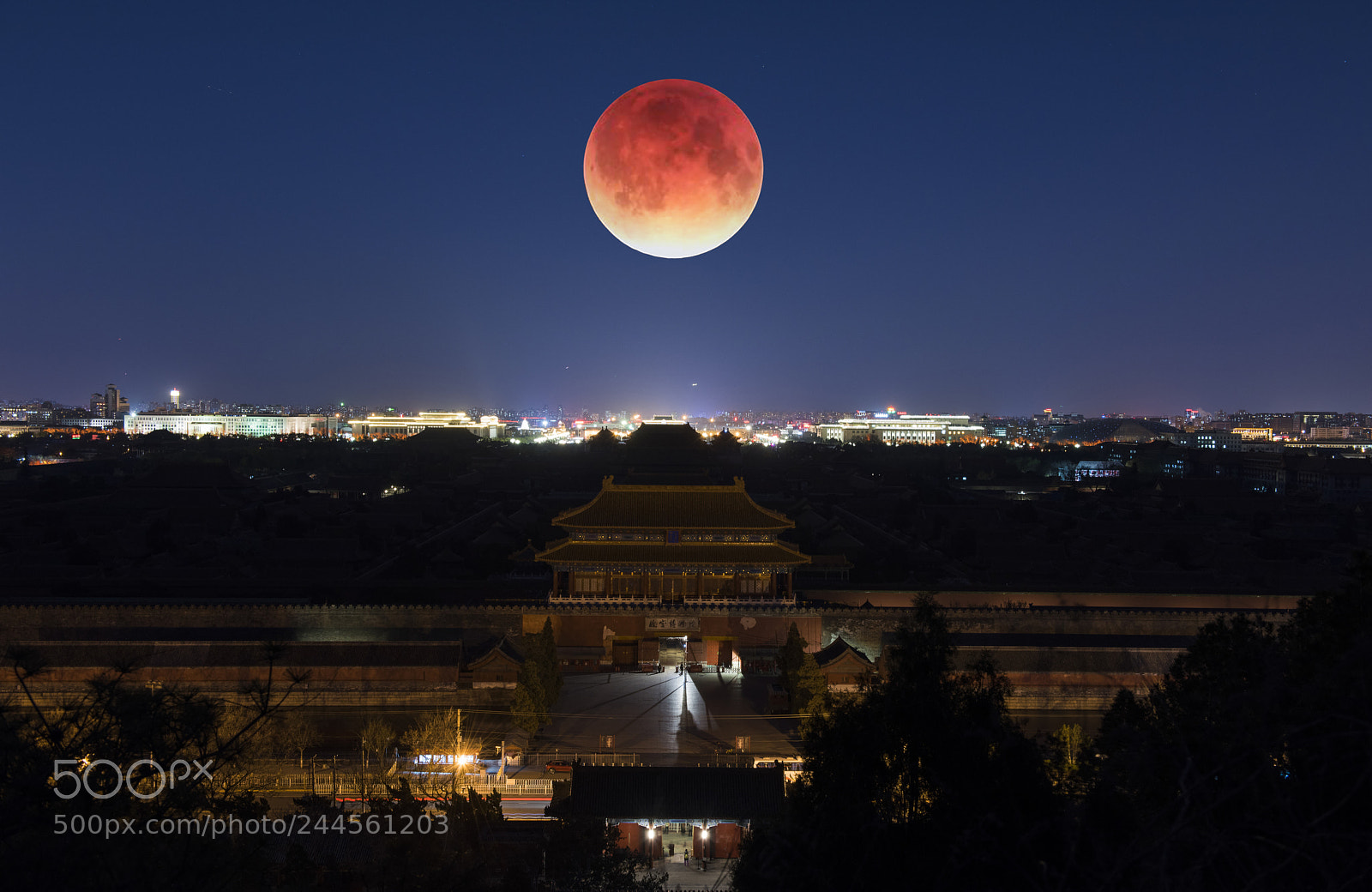 Nikon D810 sample photo. Moon photography