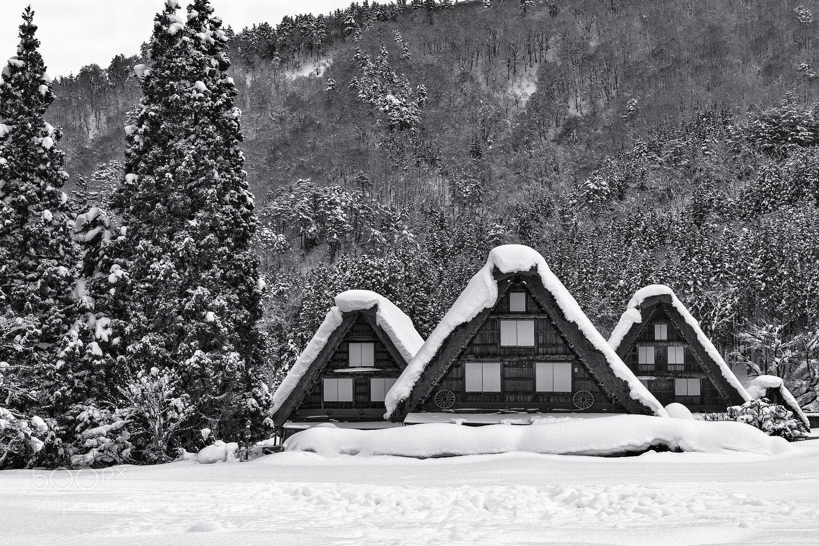 Sony a9 sample photo. Snowy township photography