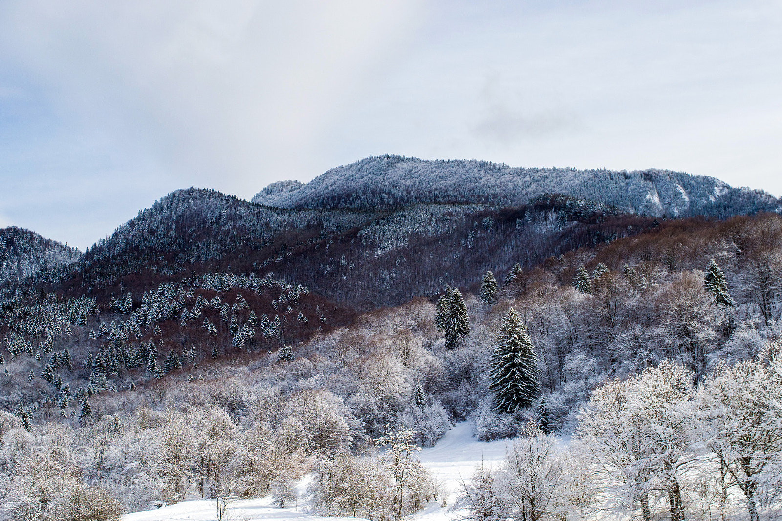 Nikon D3100 sample photo. Mountain1 photography