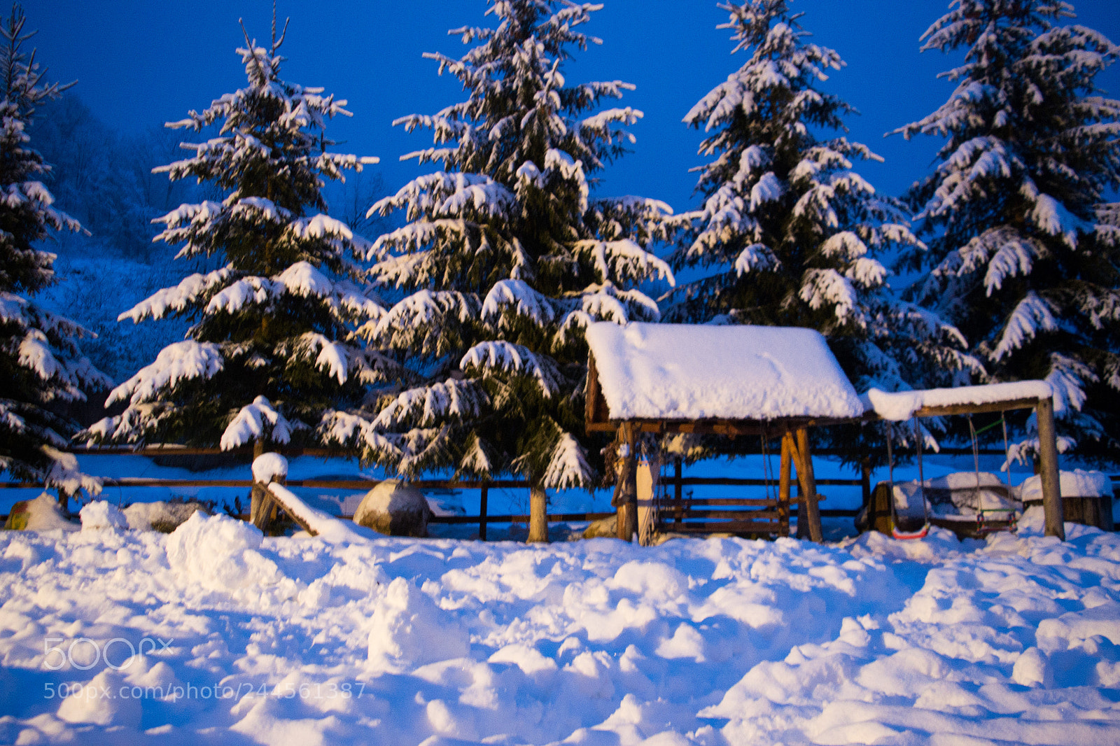 Nikon D3100 sample photo. Snow in the tree photography