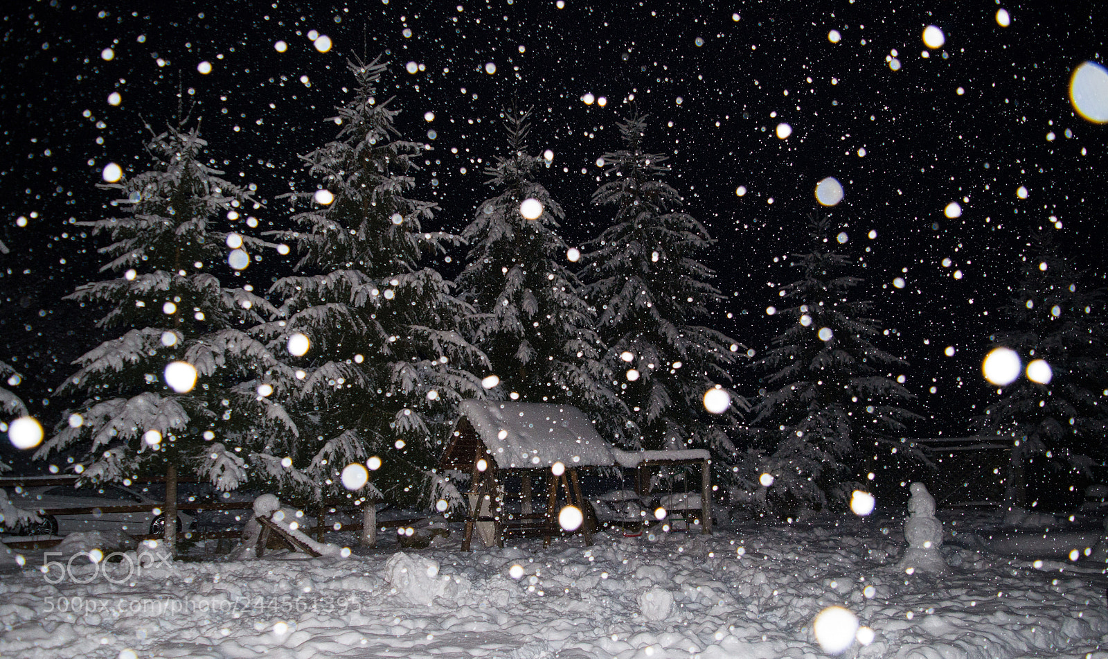 Nikon D3100 sample photo. Snowing photography