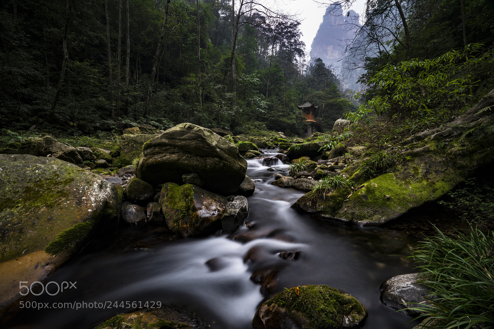 Sony a7R II sample photo. Golden whip stream photography