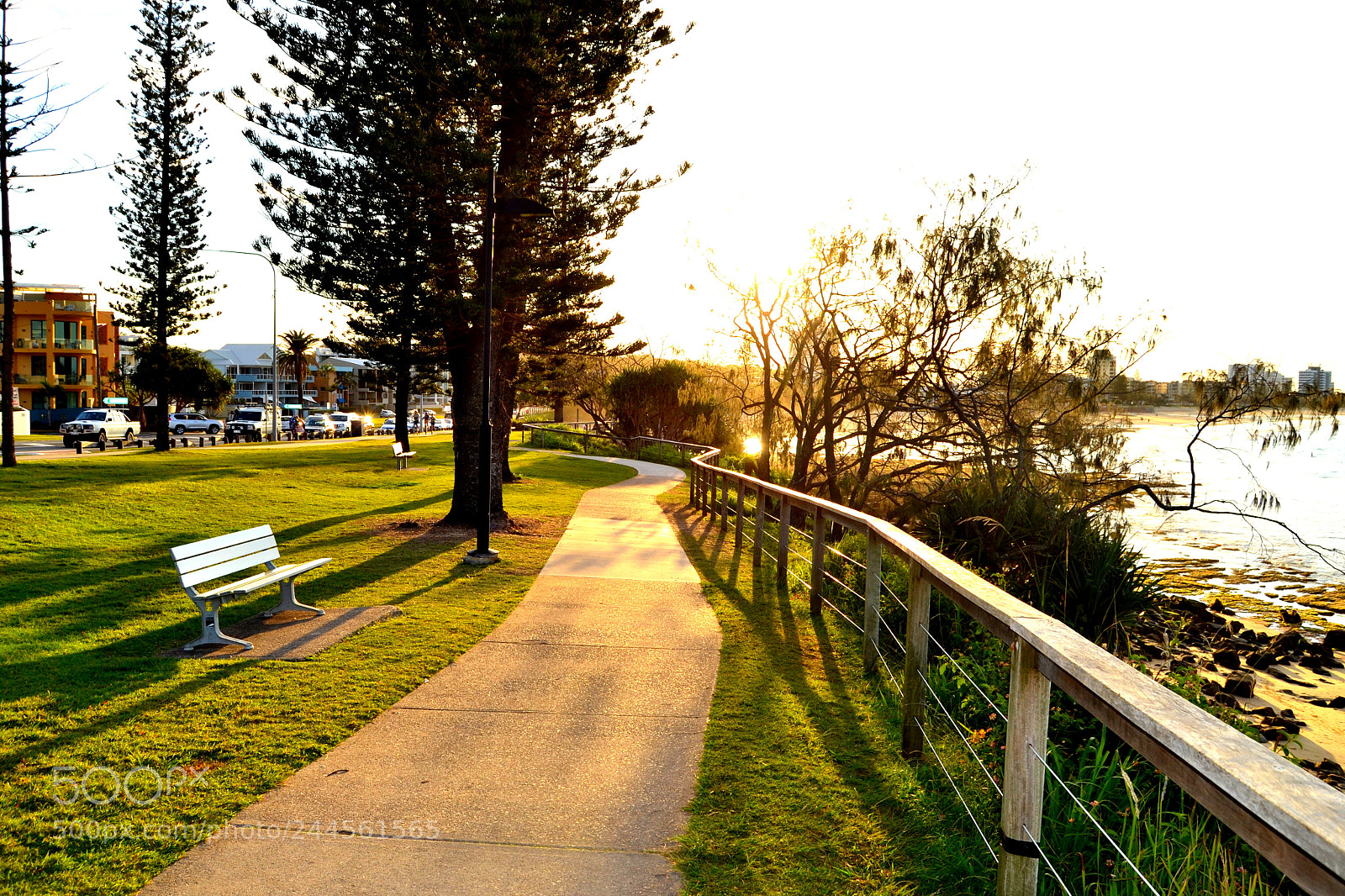 Nikon D3100 sample photo. A walk in the photography