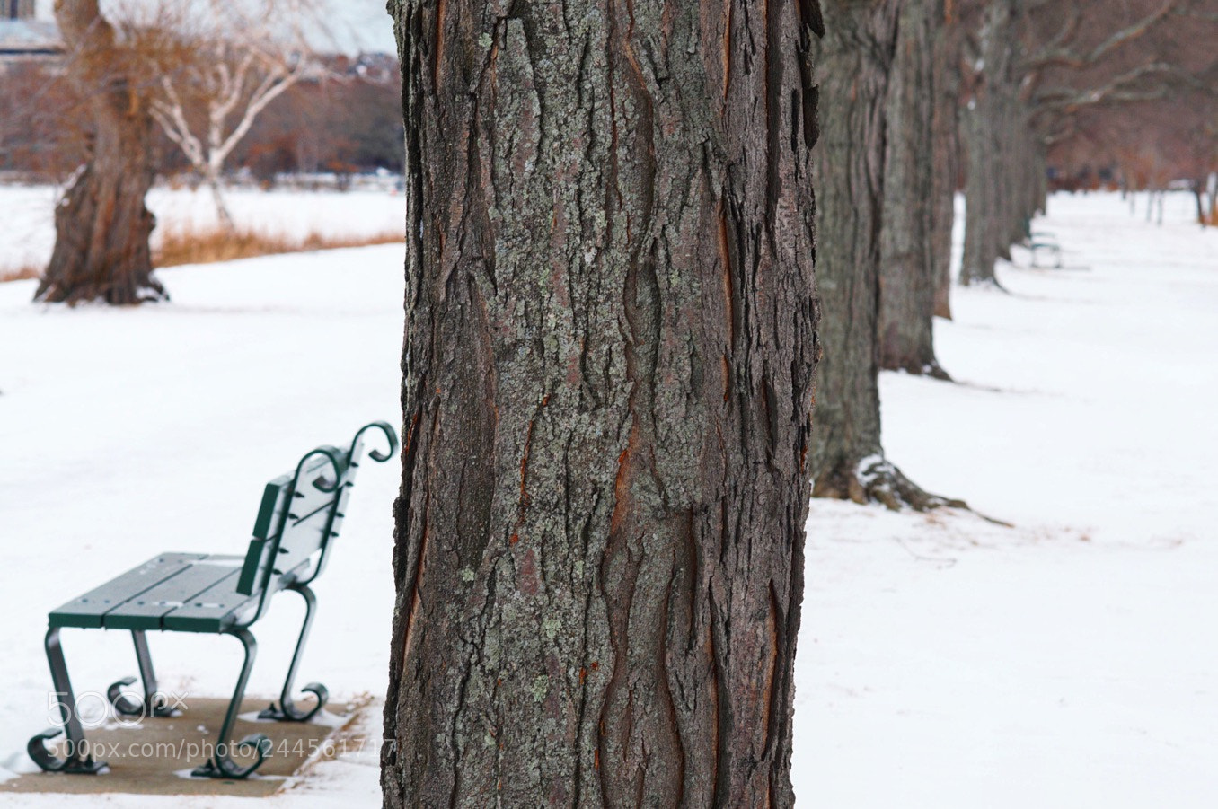 Nikon D300S sample photo. Only you. photography