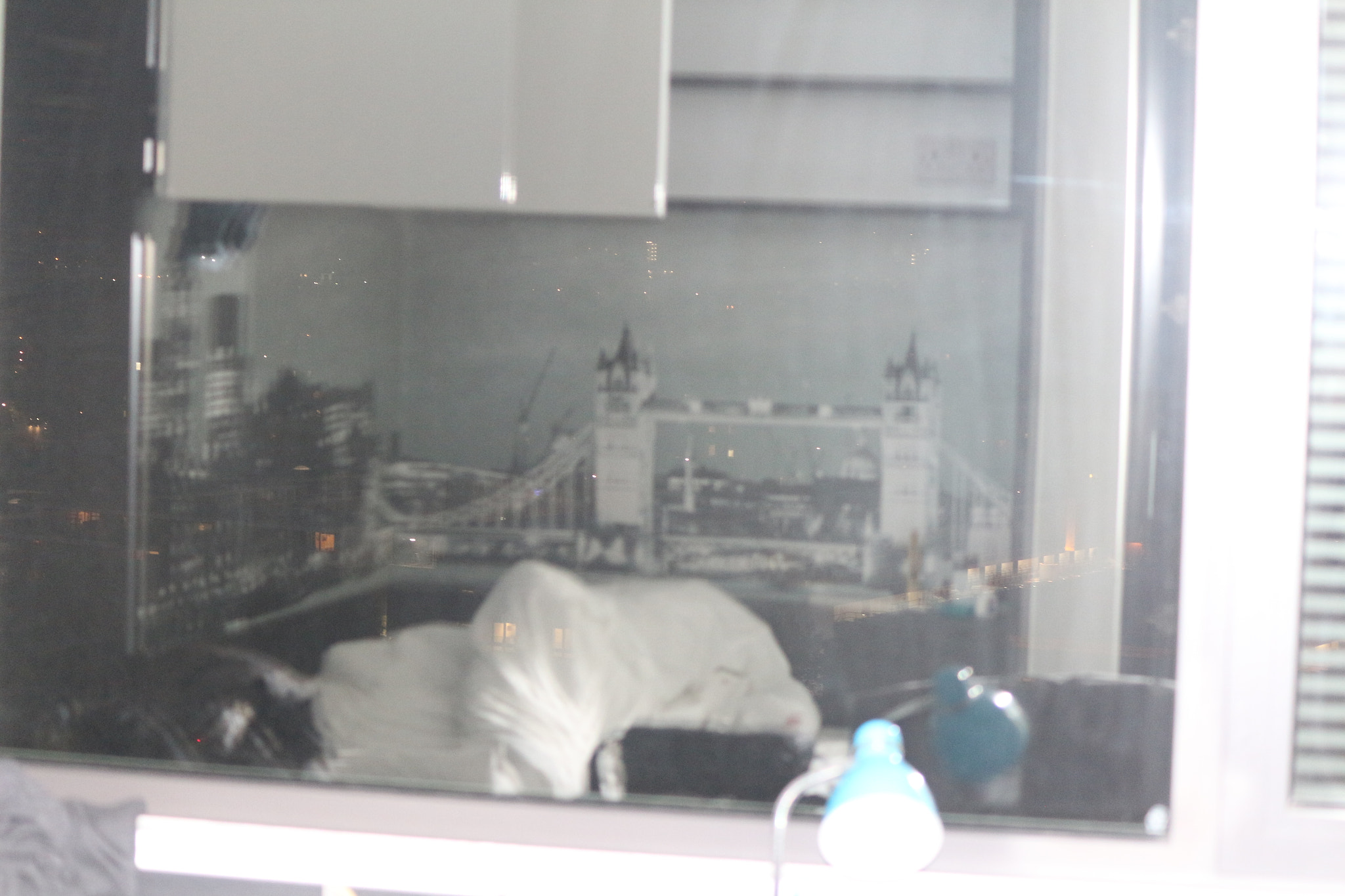 Canon EOS 650D (EOS Rebel T4i / EOS Kiss X6i) sample photo. Img photography
