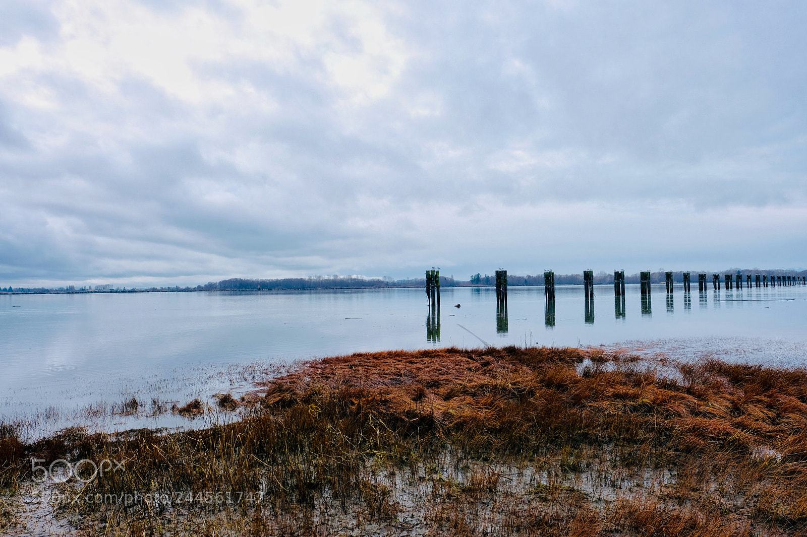 Fujifilm X-T2 sample photo. Untitled photography