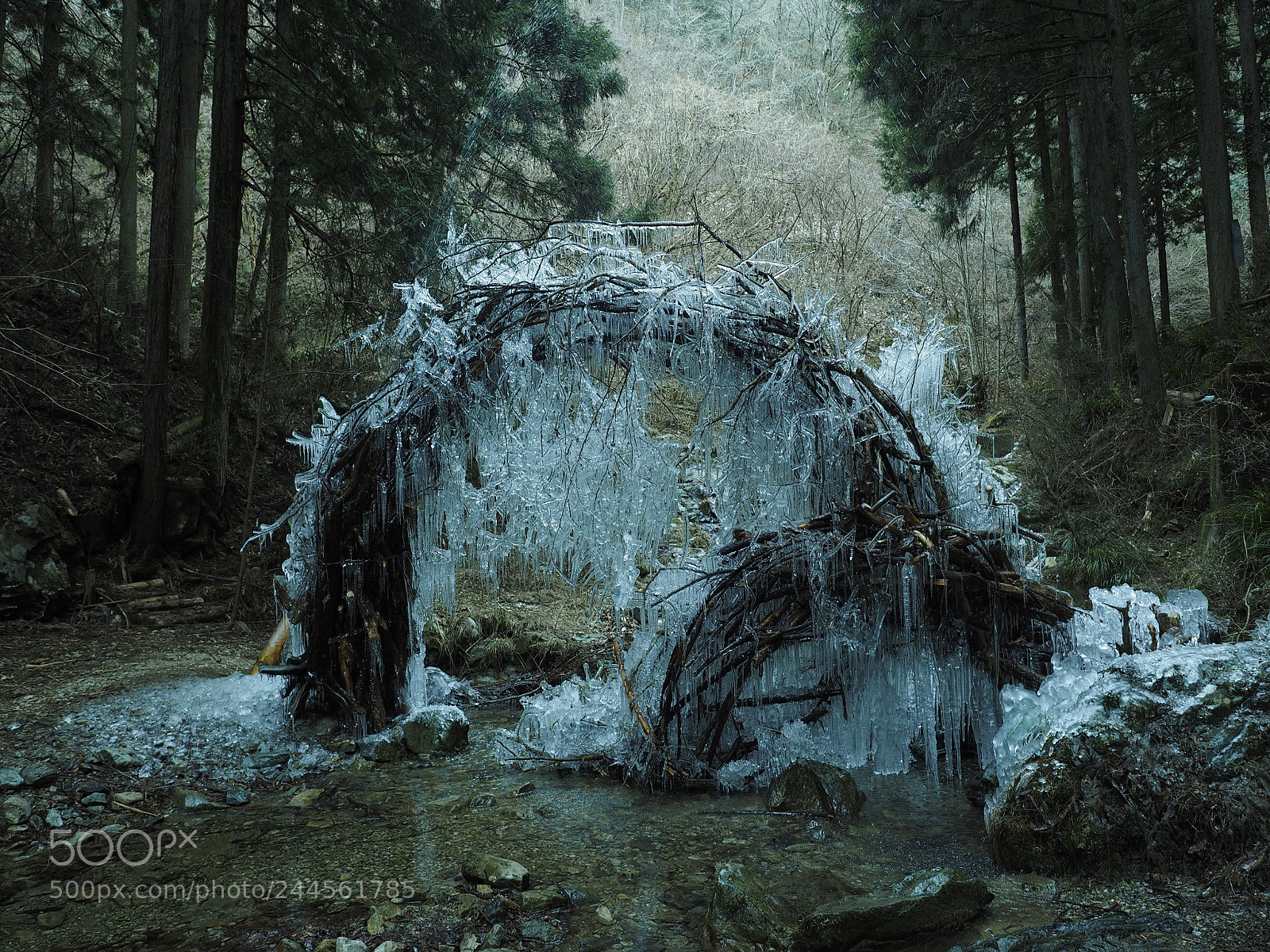 Olympus OM-D E-M1 sample photo. Ice art photography