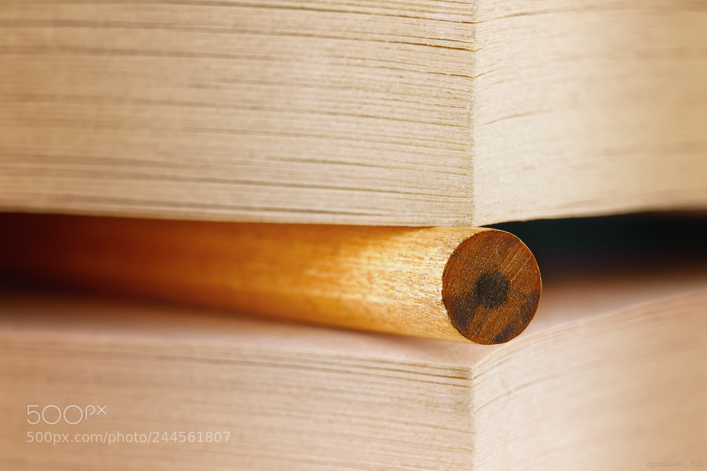 Panasonic Lumix DMC-FZ1000 sample photo. Pencil in a book photography