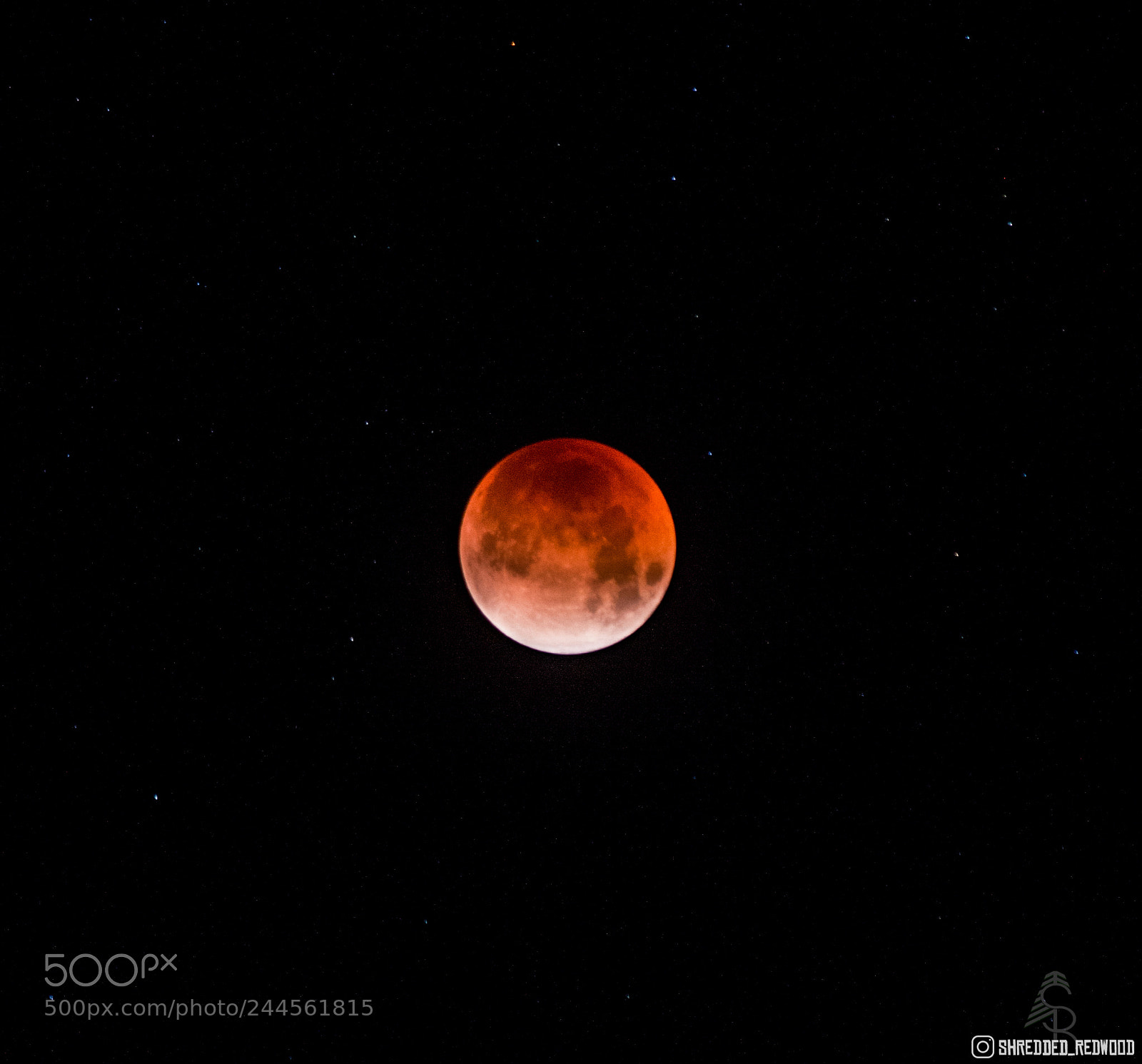 Canon EOS 550D (EOS Rebel T2i / EOS Kiss X4) sample photo. Blood moon photography