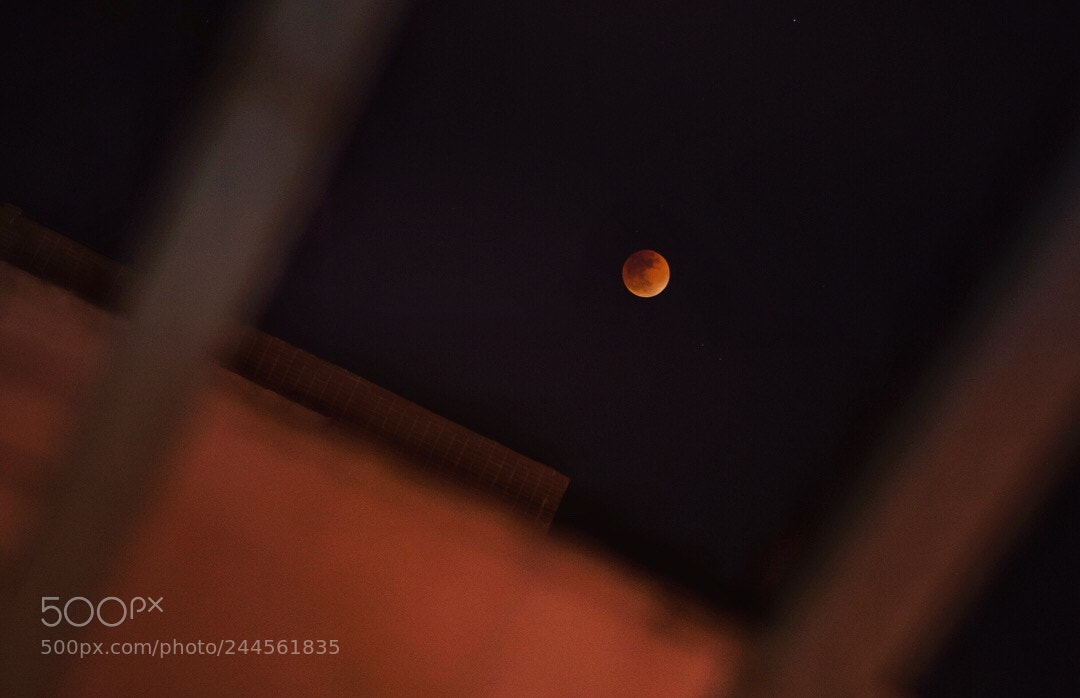 Nikon D7100 sample photo. Untitled photography