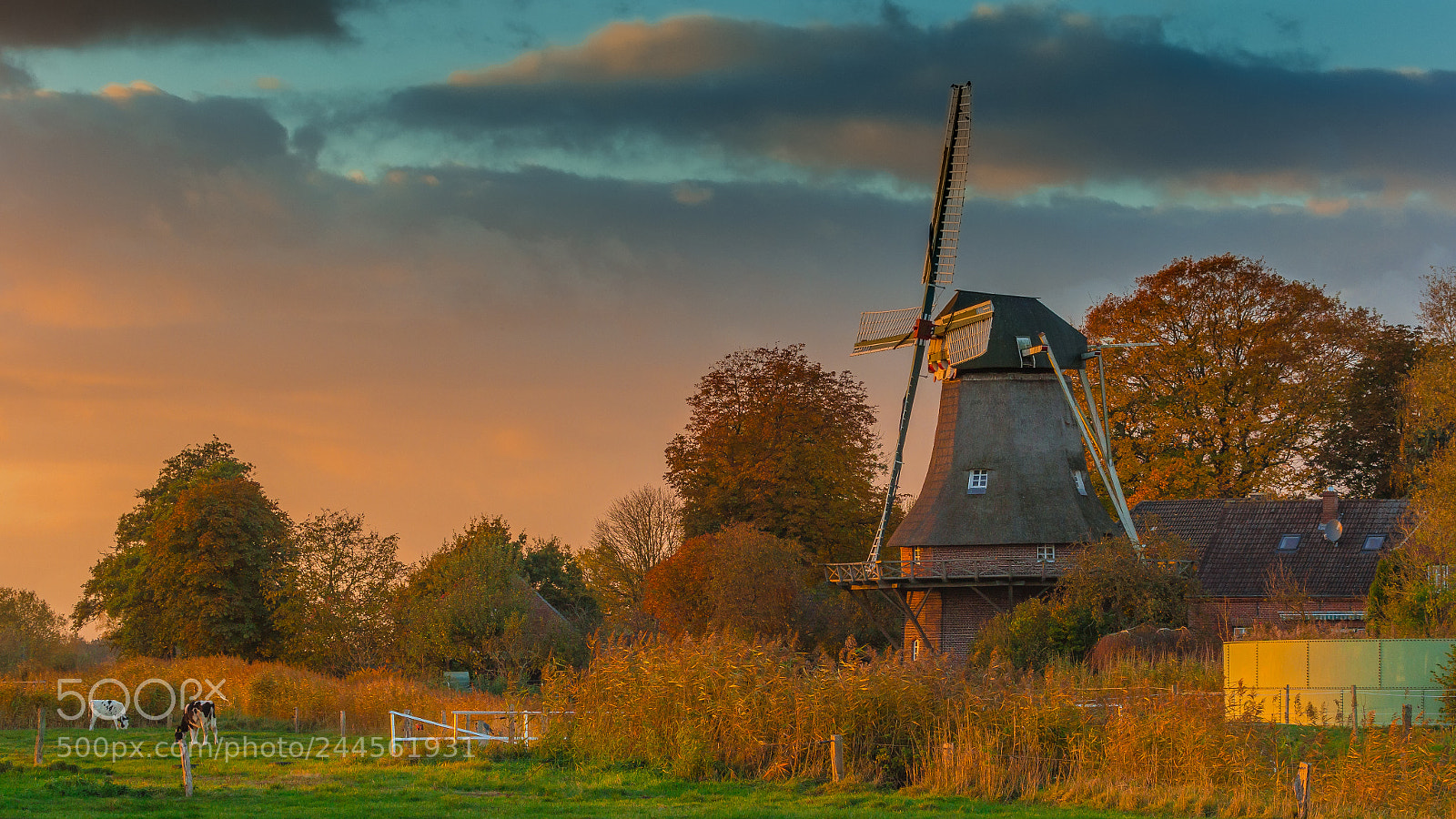 Canon EOS 60D sample photo. Abendsonne photography