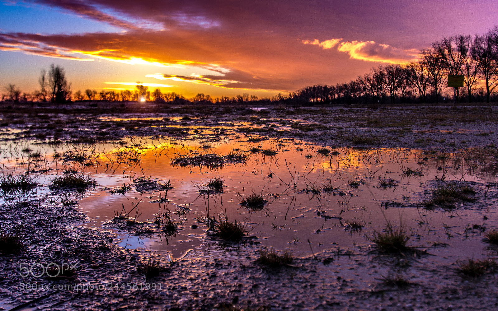 Canon EOS 60D sample photo. Guten morgen seewinkel photography