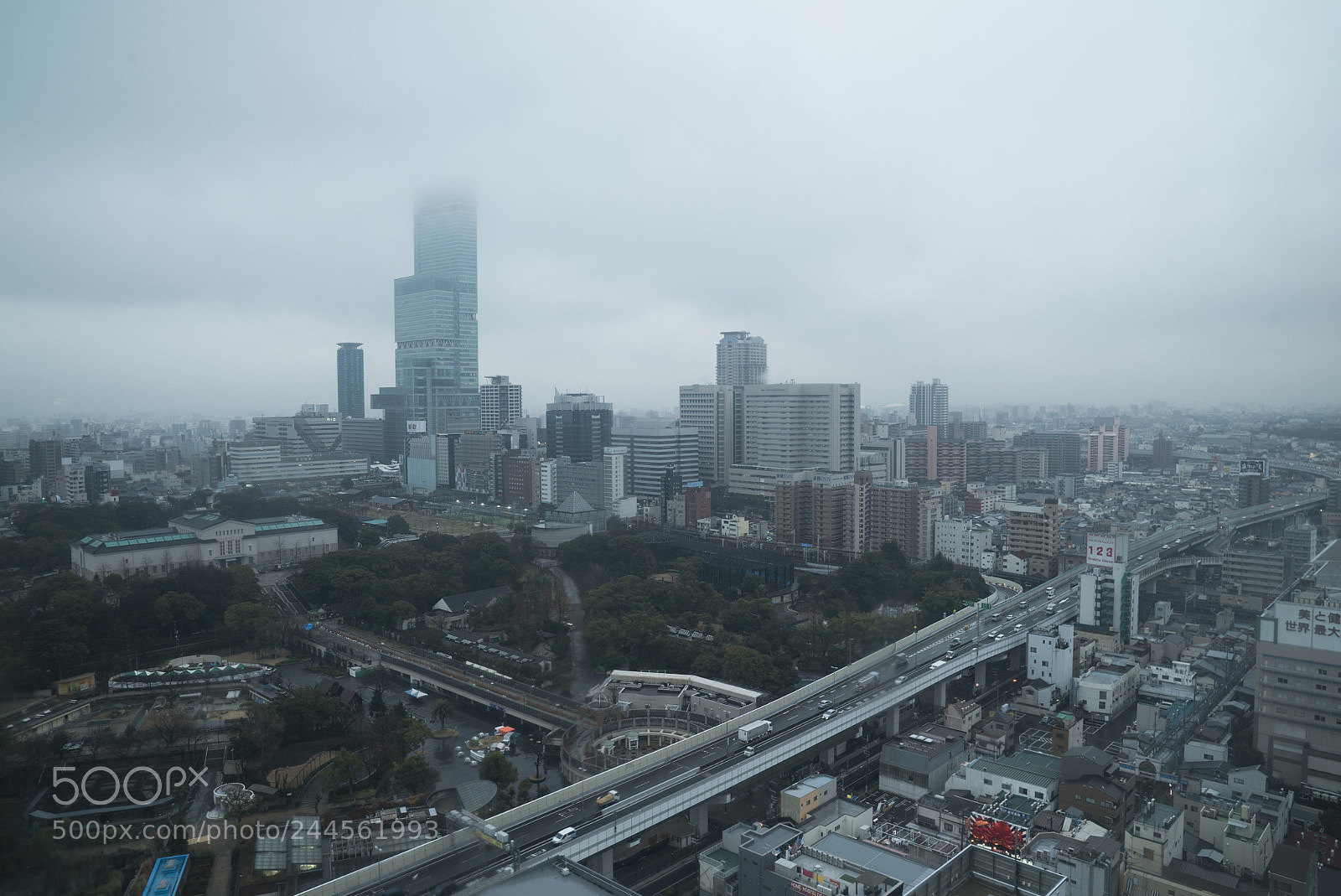 Sony a7S II sample photo. Lost in japan photography