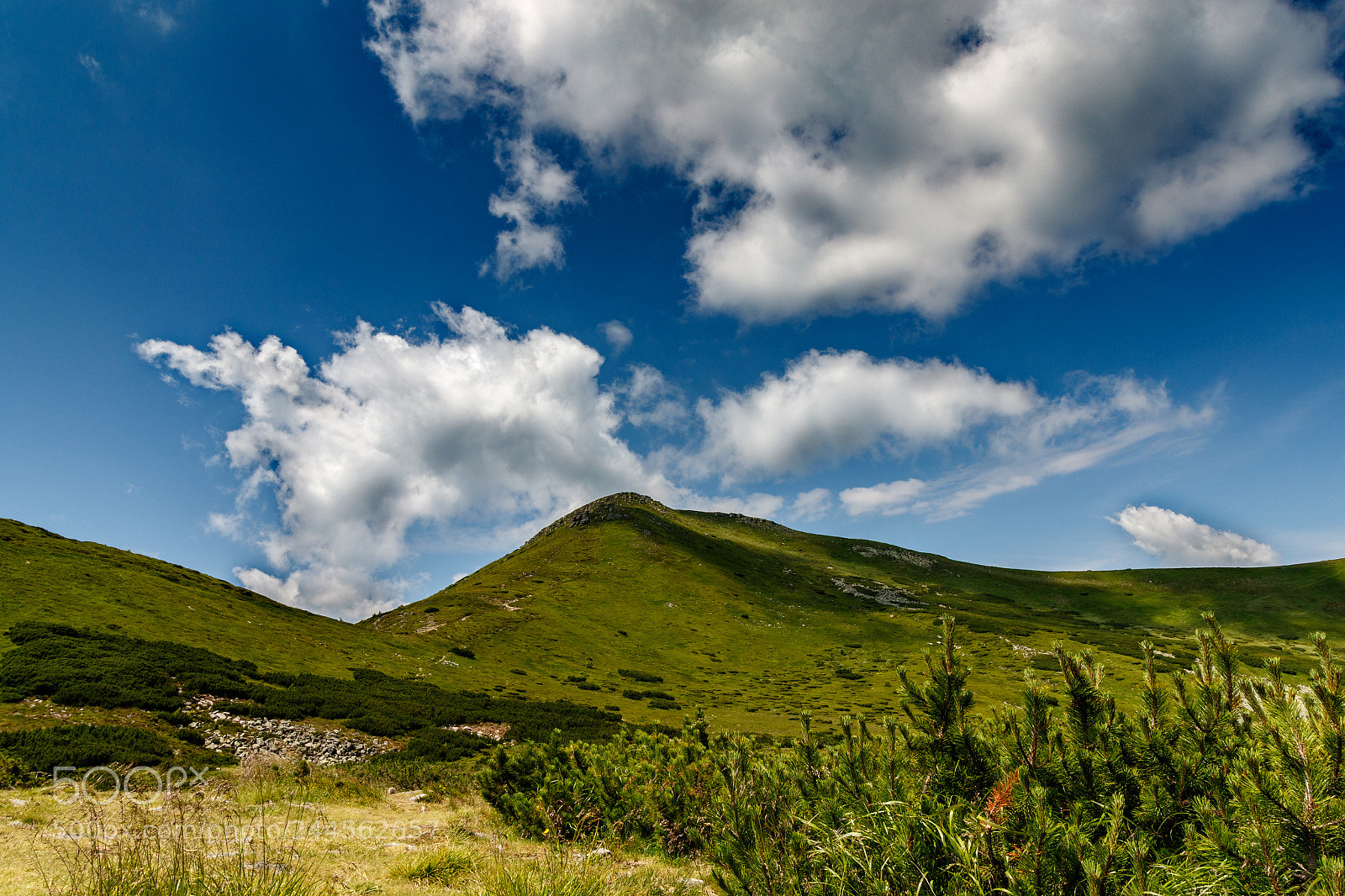 Canon EOS 7D Mark II sample photo. Good sunny day photography