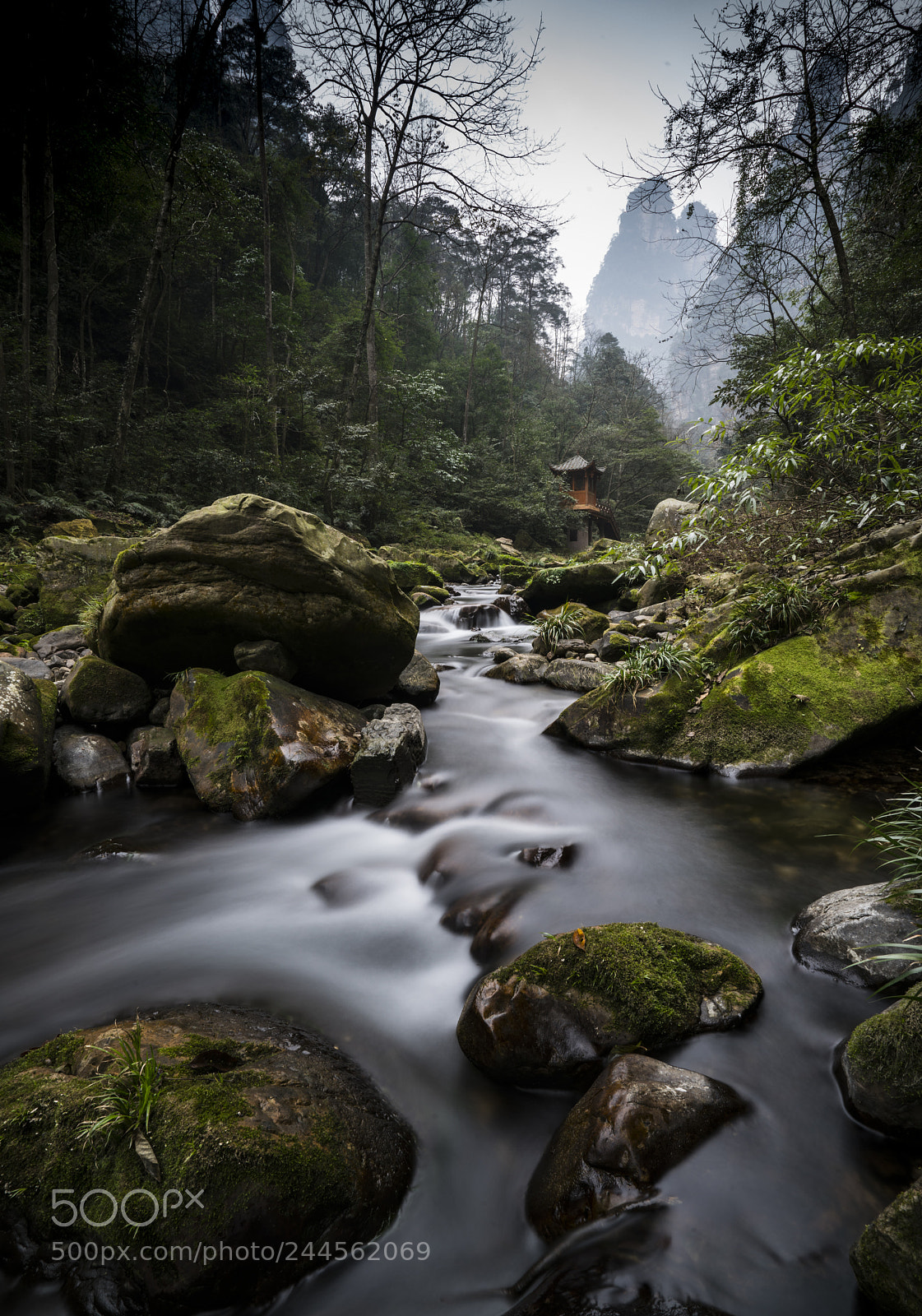 Sony a7R II sample photo. Golden whip stream photography