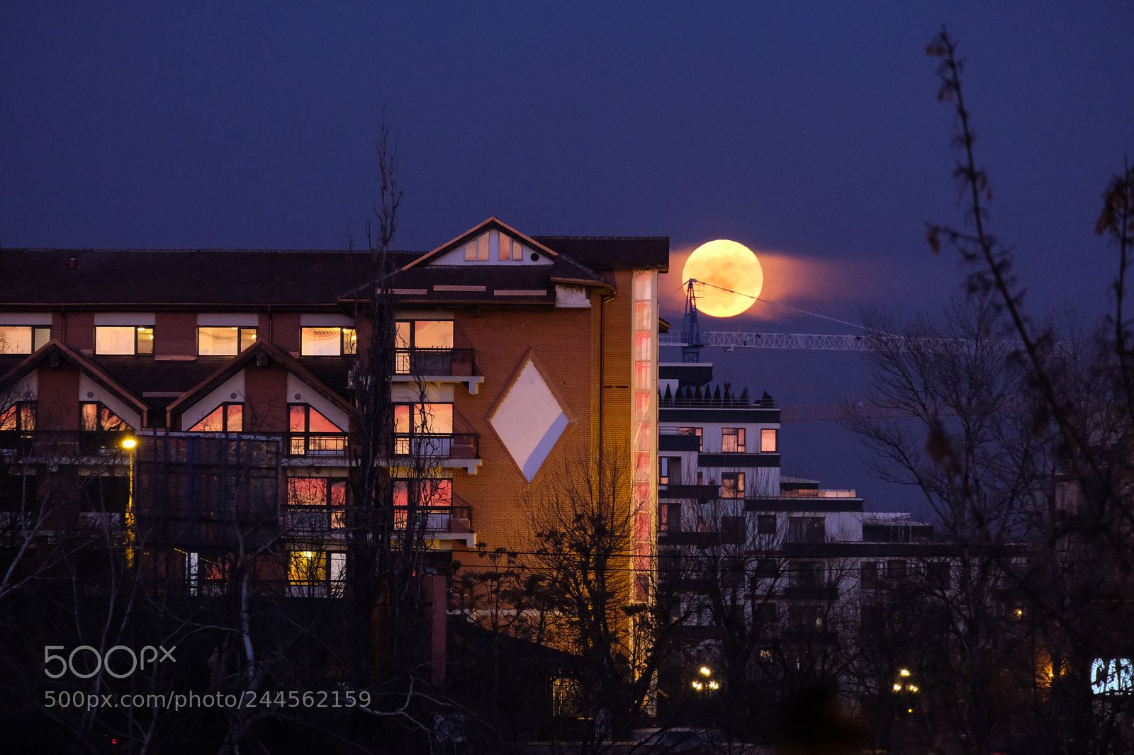 Fujifilm X-T20 sample photo. Super blue blood moon photography